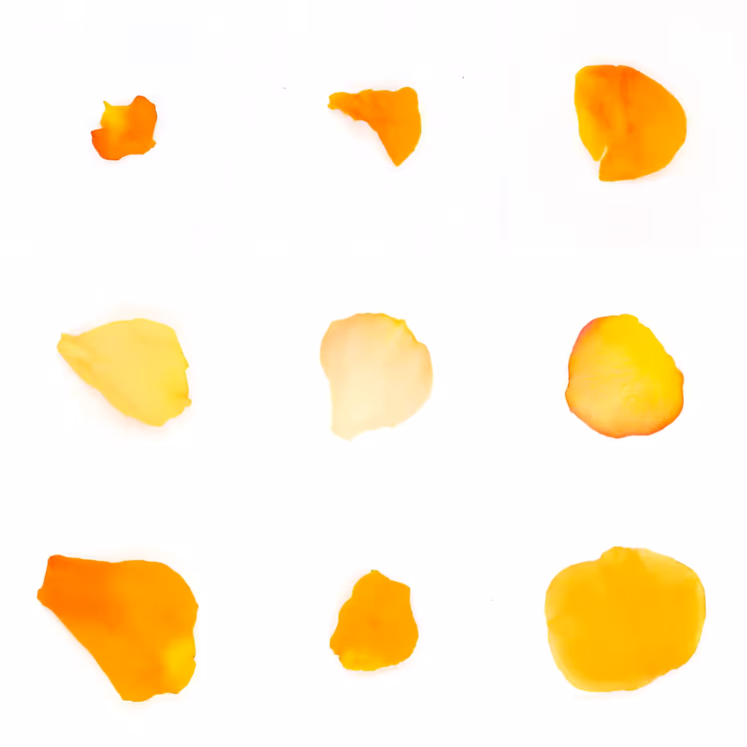 Infinite Petals 3x3#3361