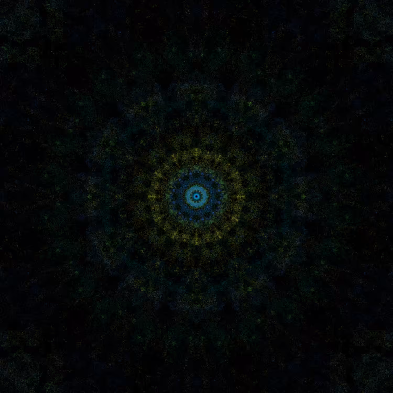Rhumb #8