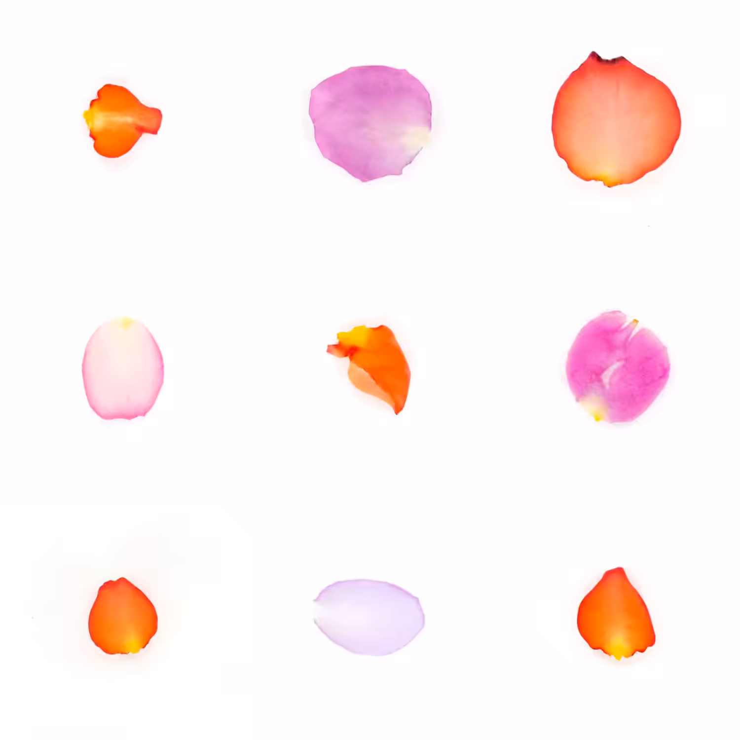 Infinite Petals 3x3#2437