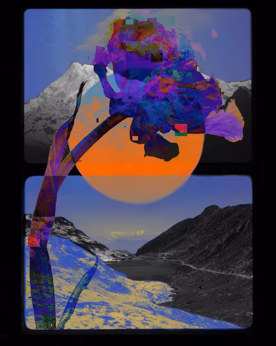 Fragmented Bloom