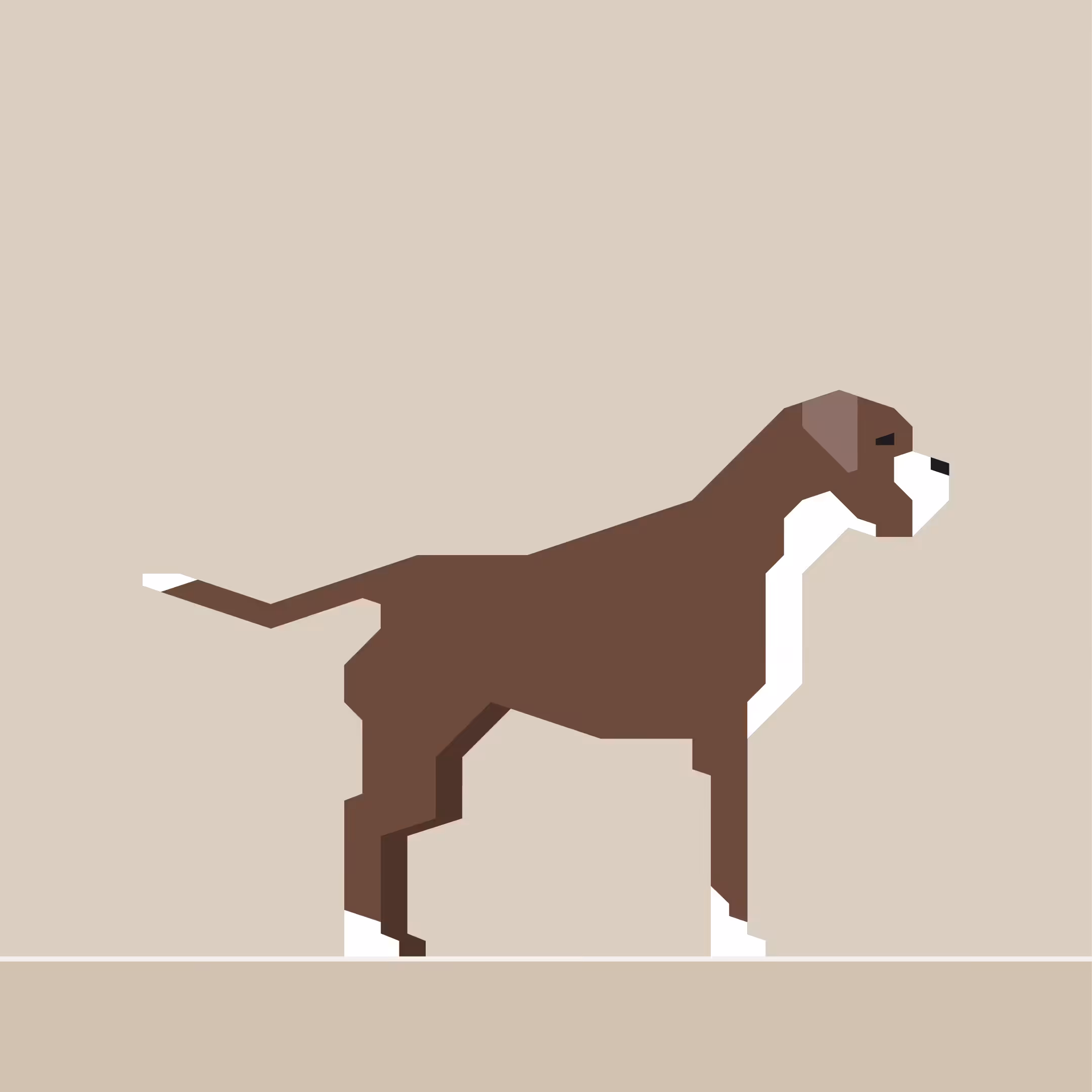 Boxer