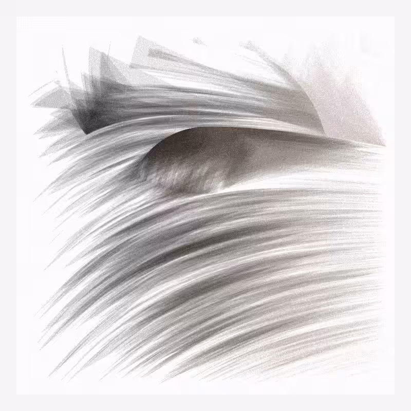 Velum #46