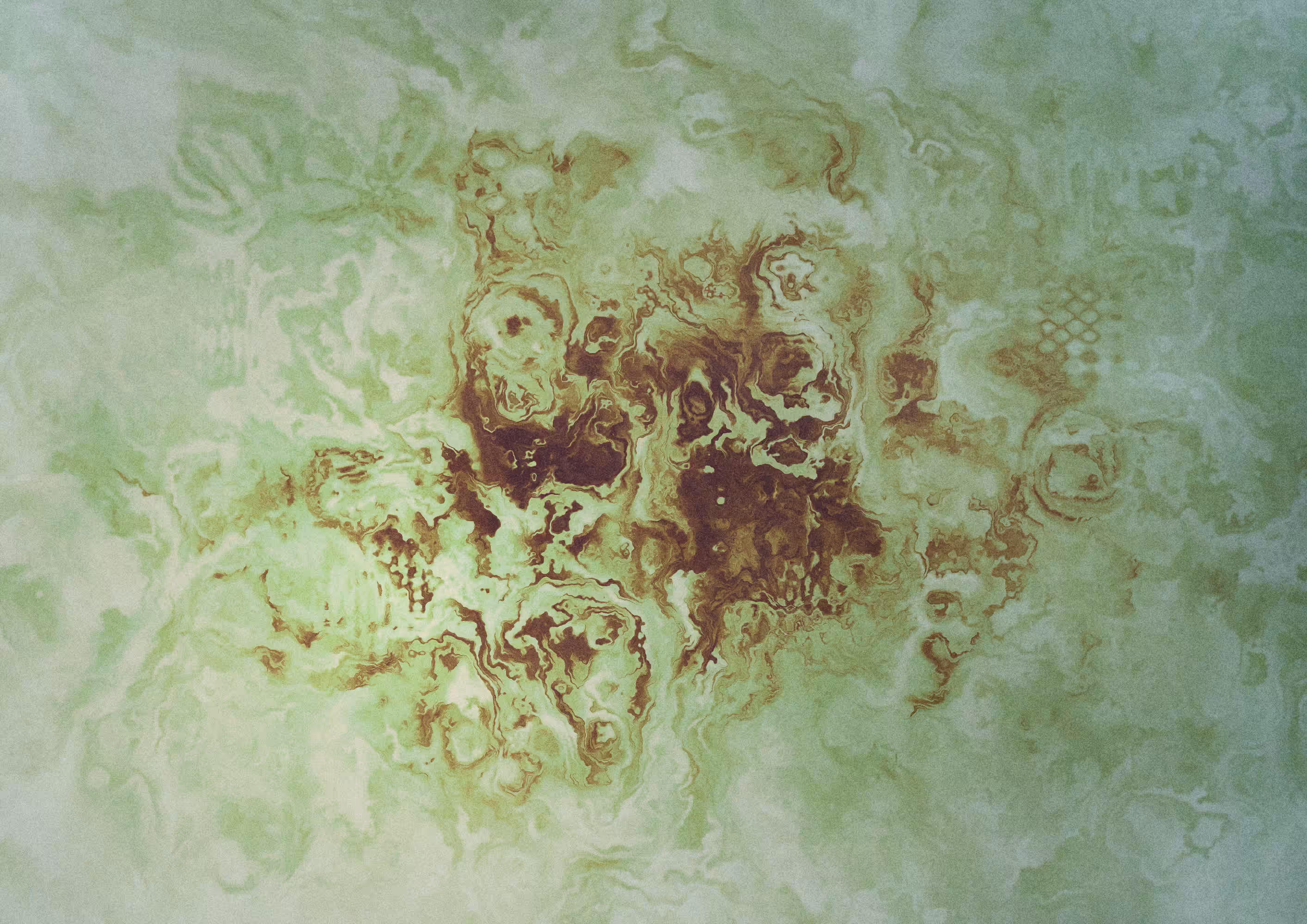 Fossilium #95