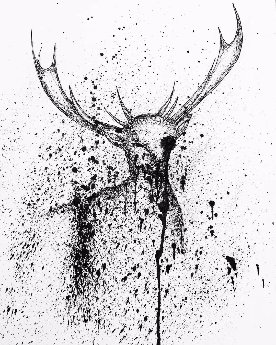 Extinct deer