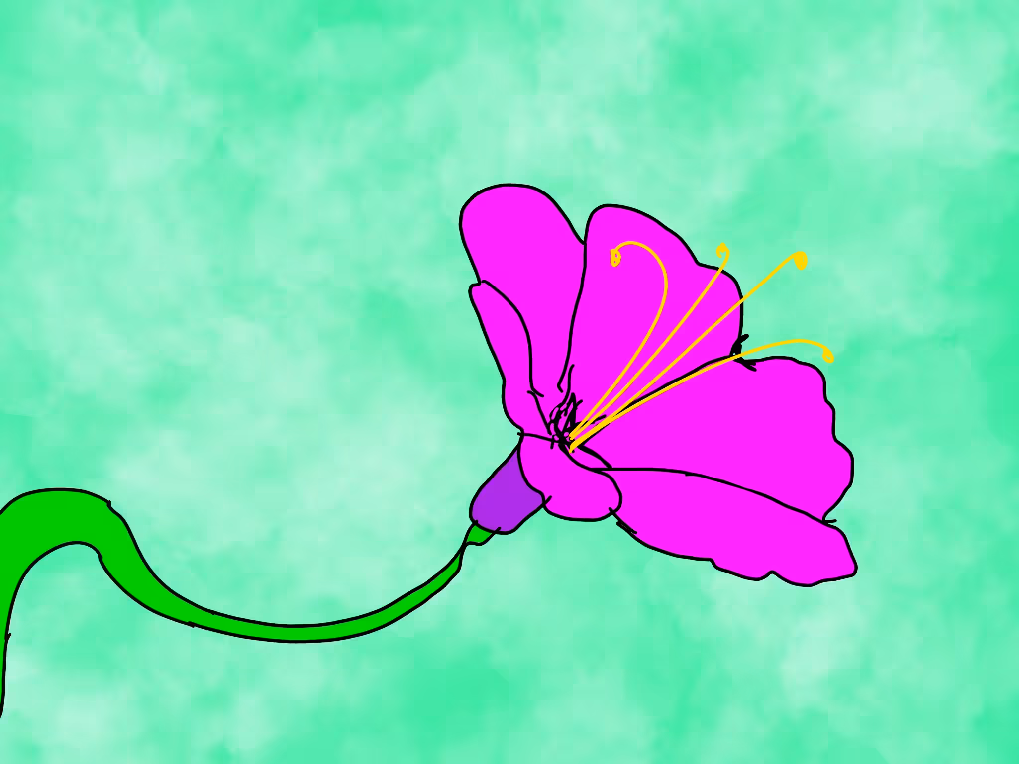 100,000 flowers