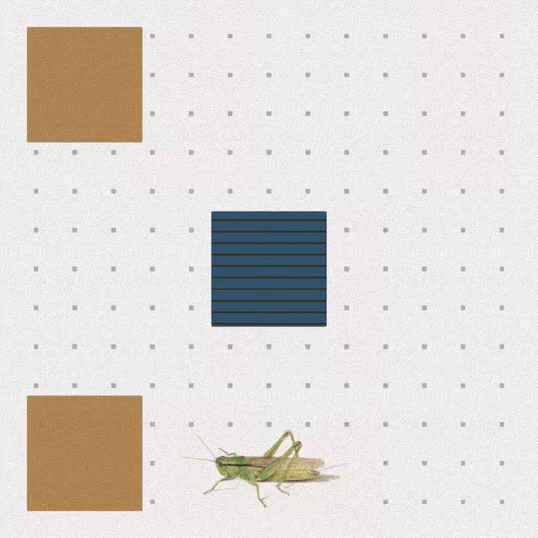 Grasshopper #37