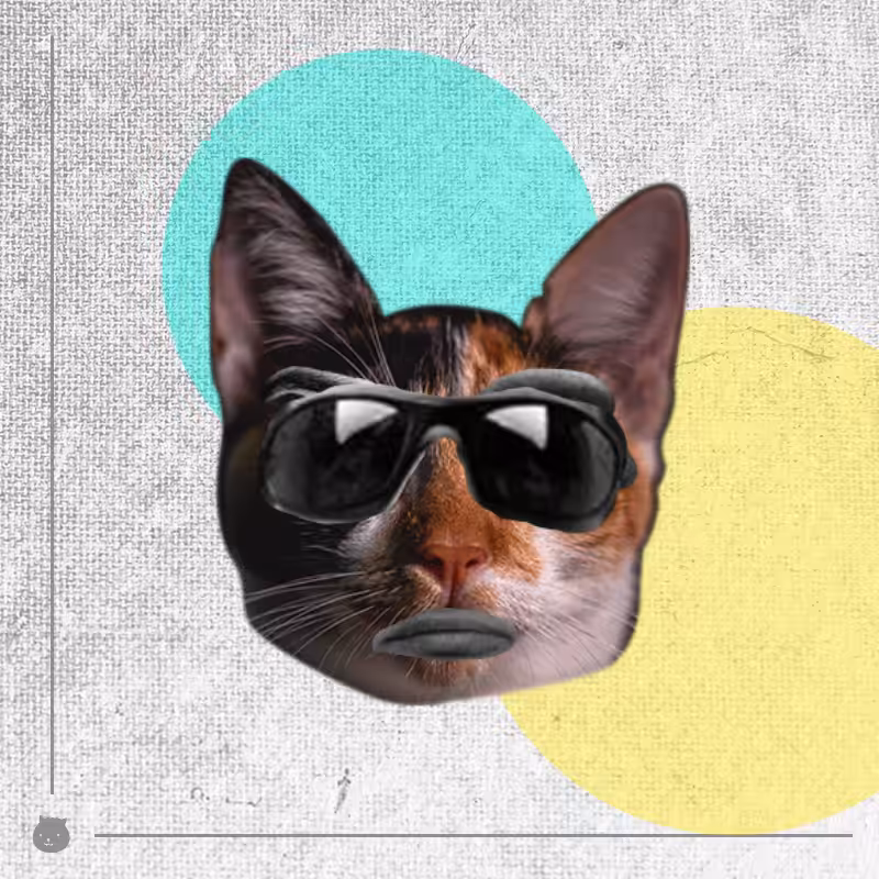 Kittenstein #46