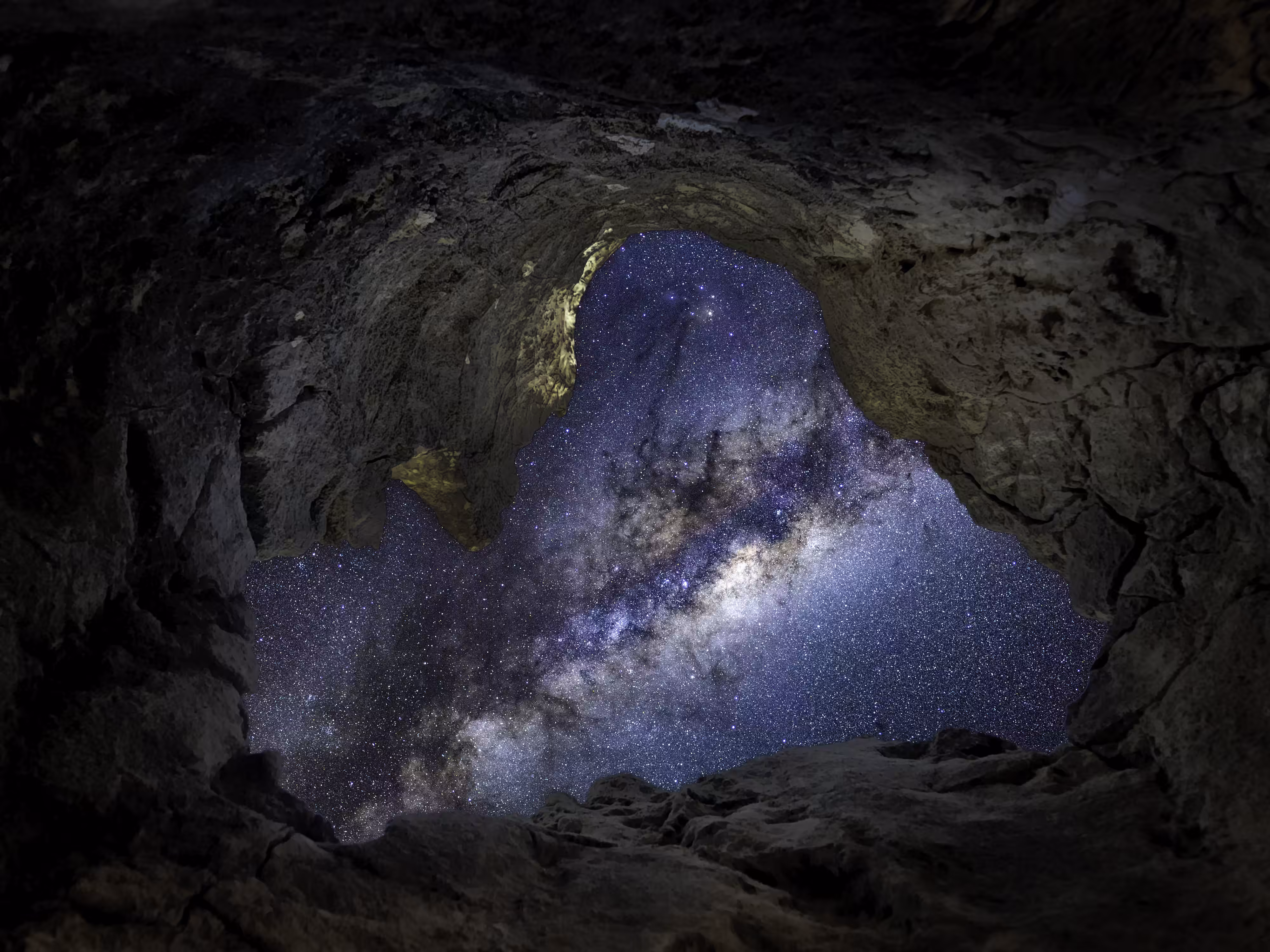 The Portal