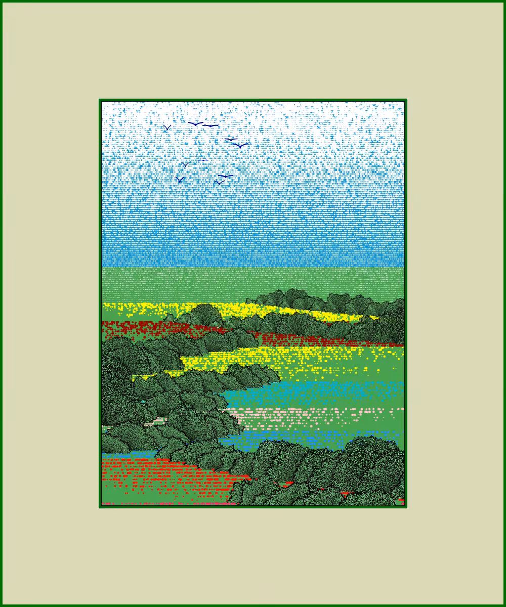Fields of flowers #6