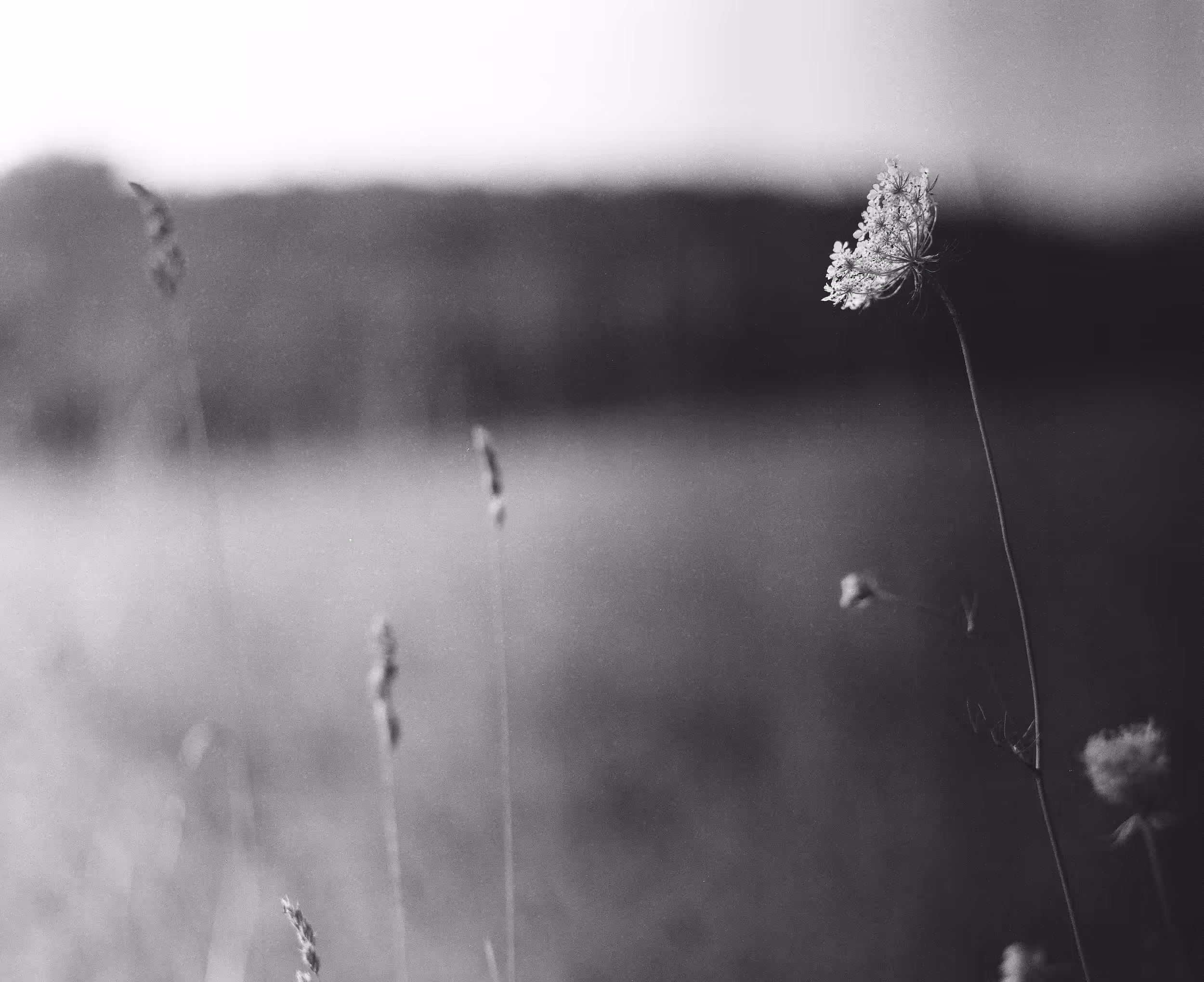 lonesome when you go