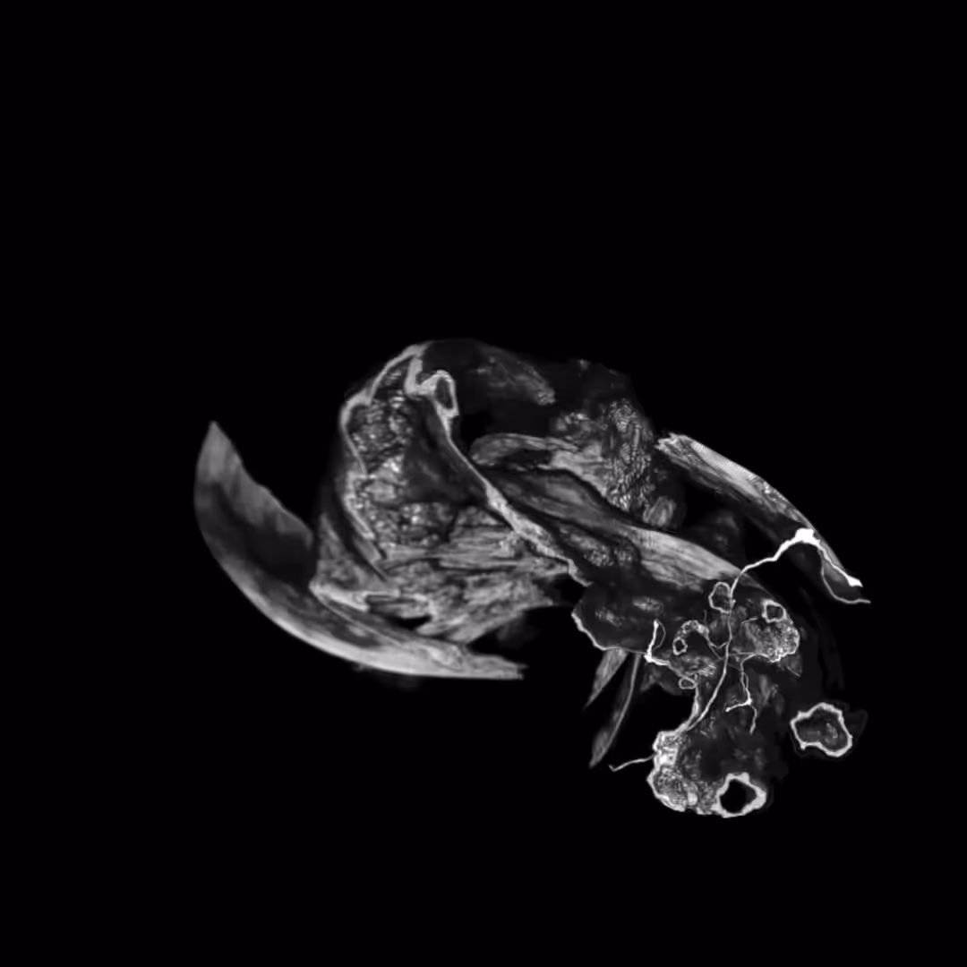 Growth 001