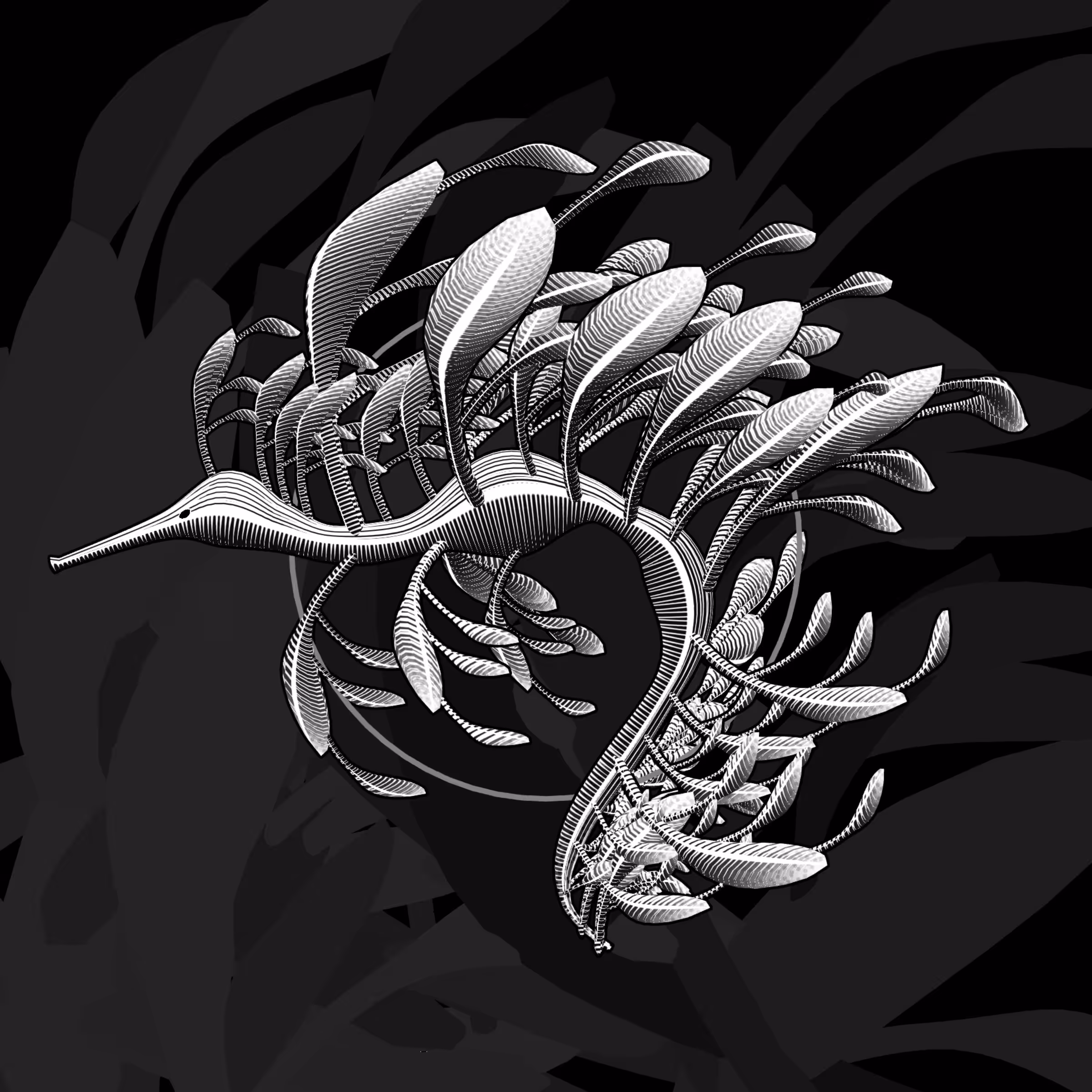 Seadragons #263