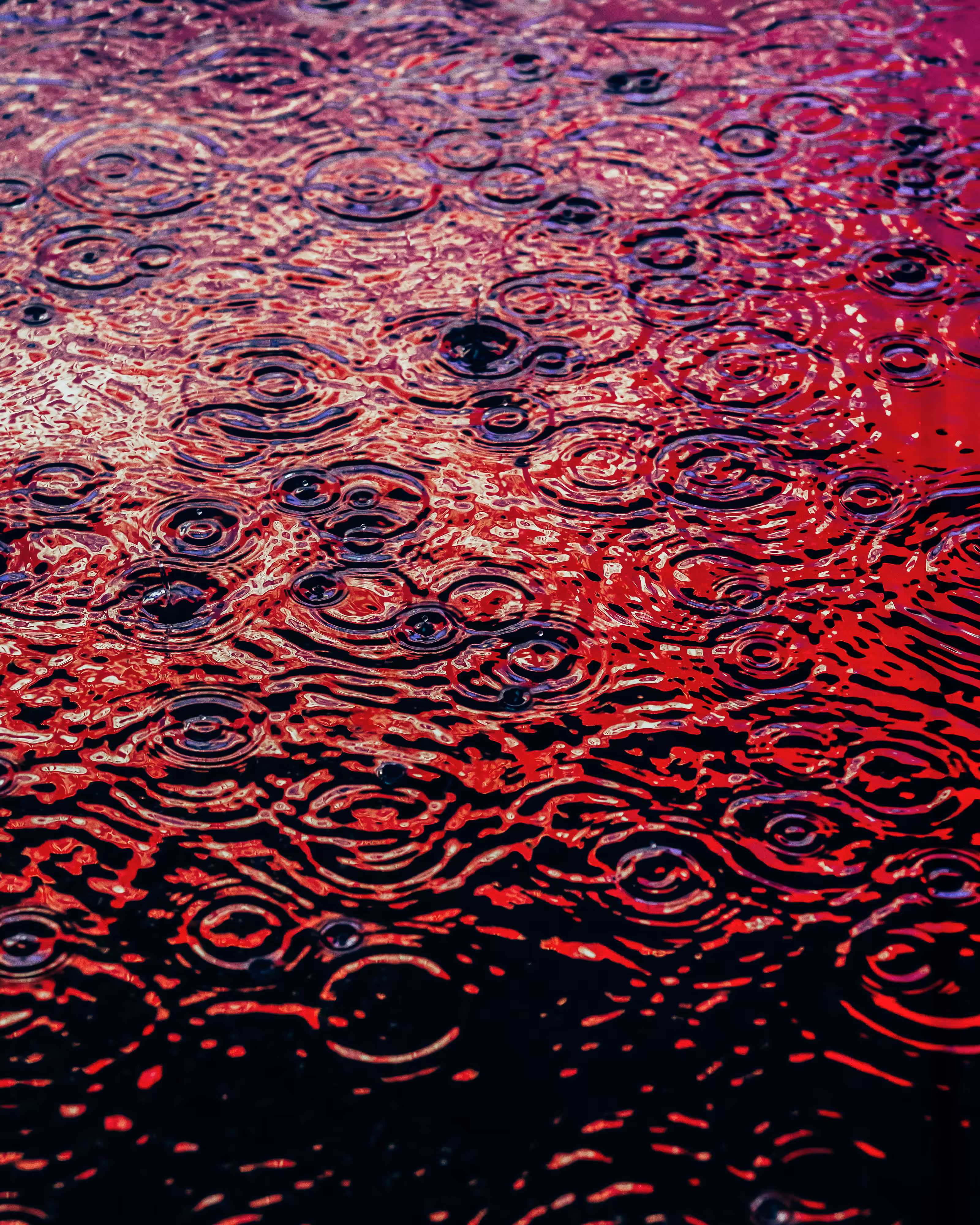 DRIP DROP: DRIP #225