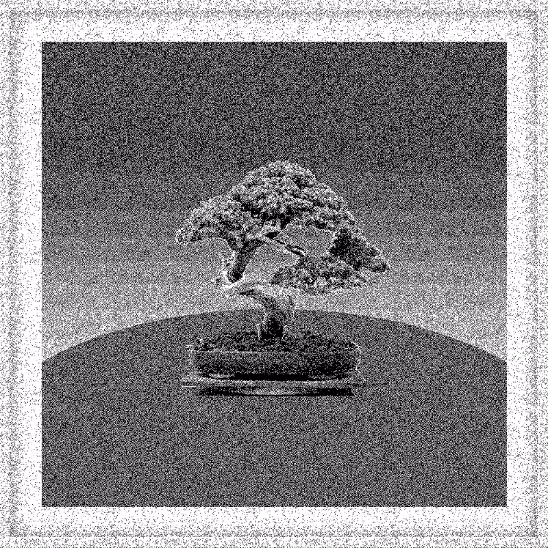 Bonsai Bonanza #277