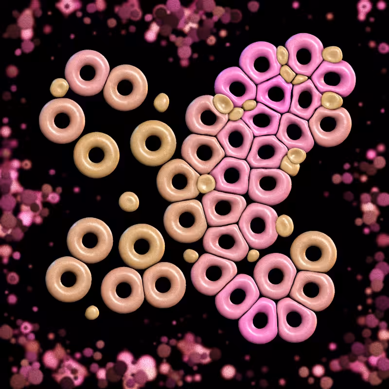 Haemo Globs #369