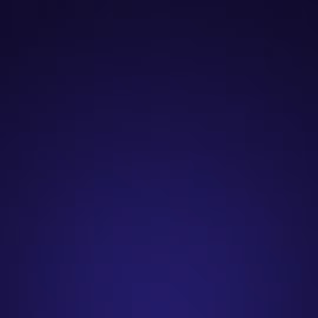 #010 BHYLDIR