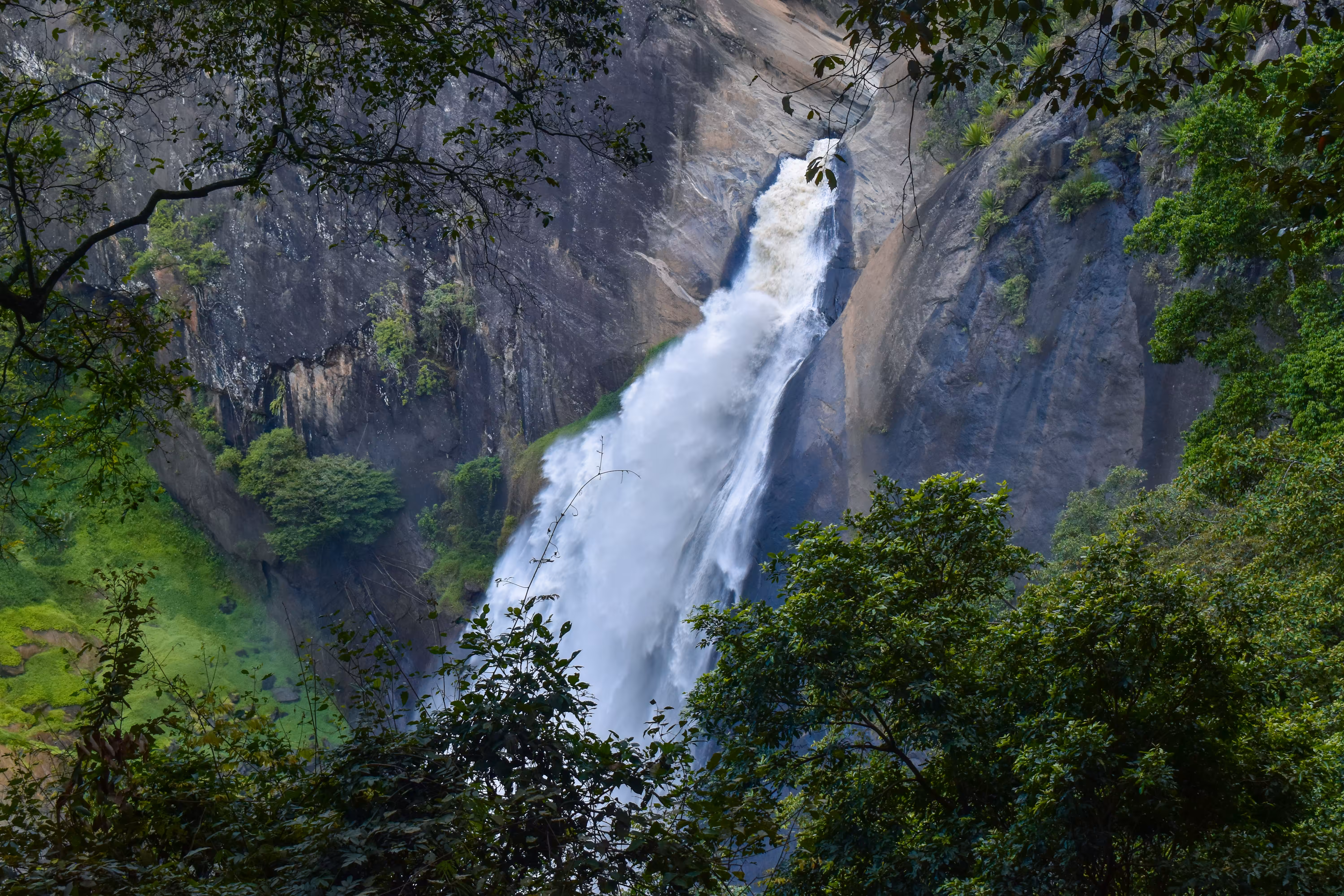 For The Falls