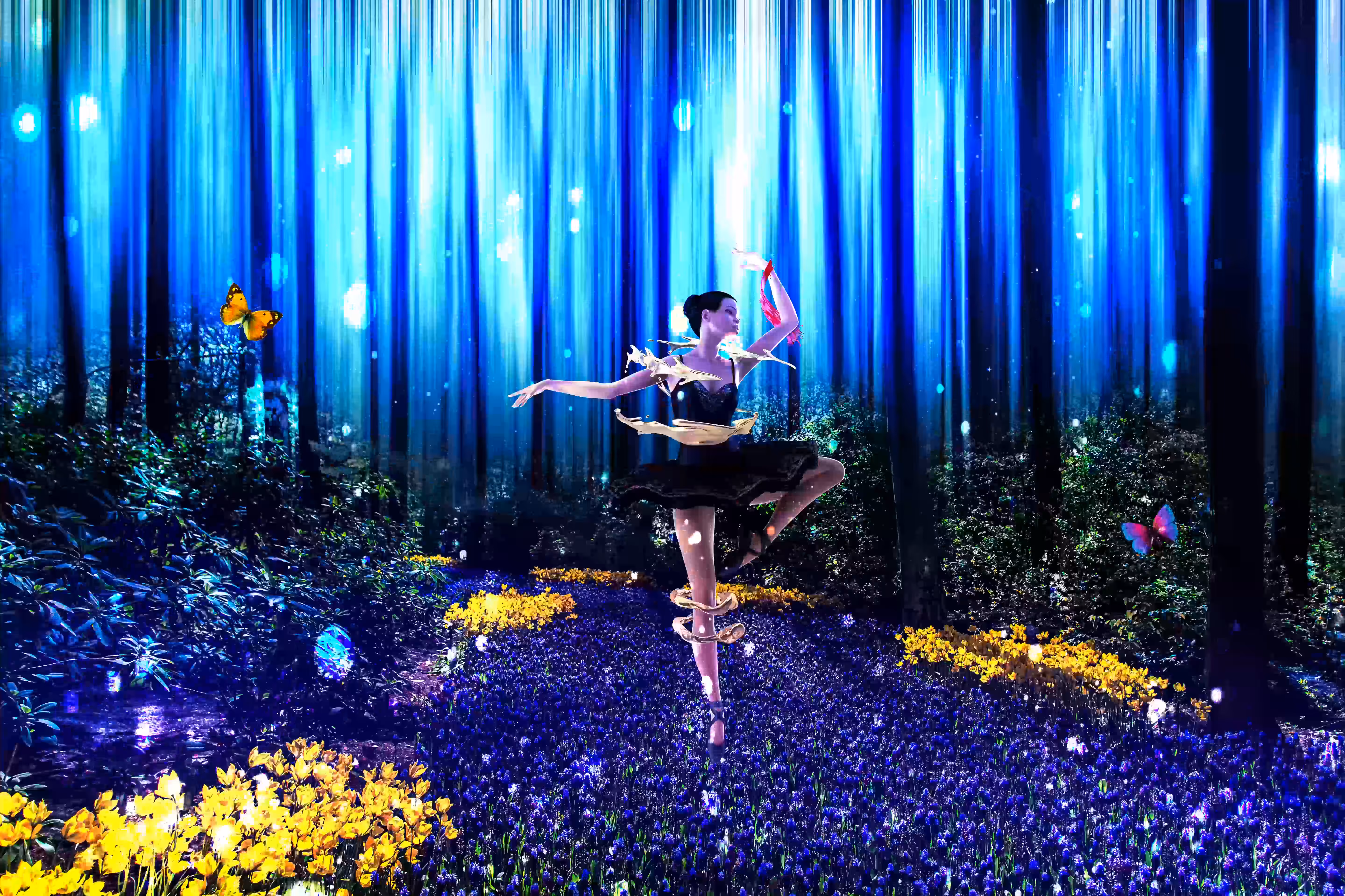 Ballerina's Forrest