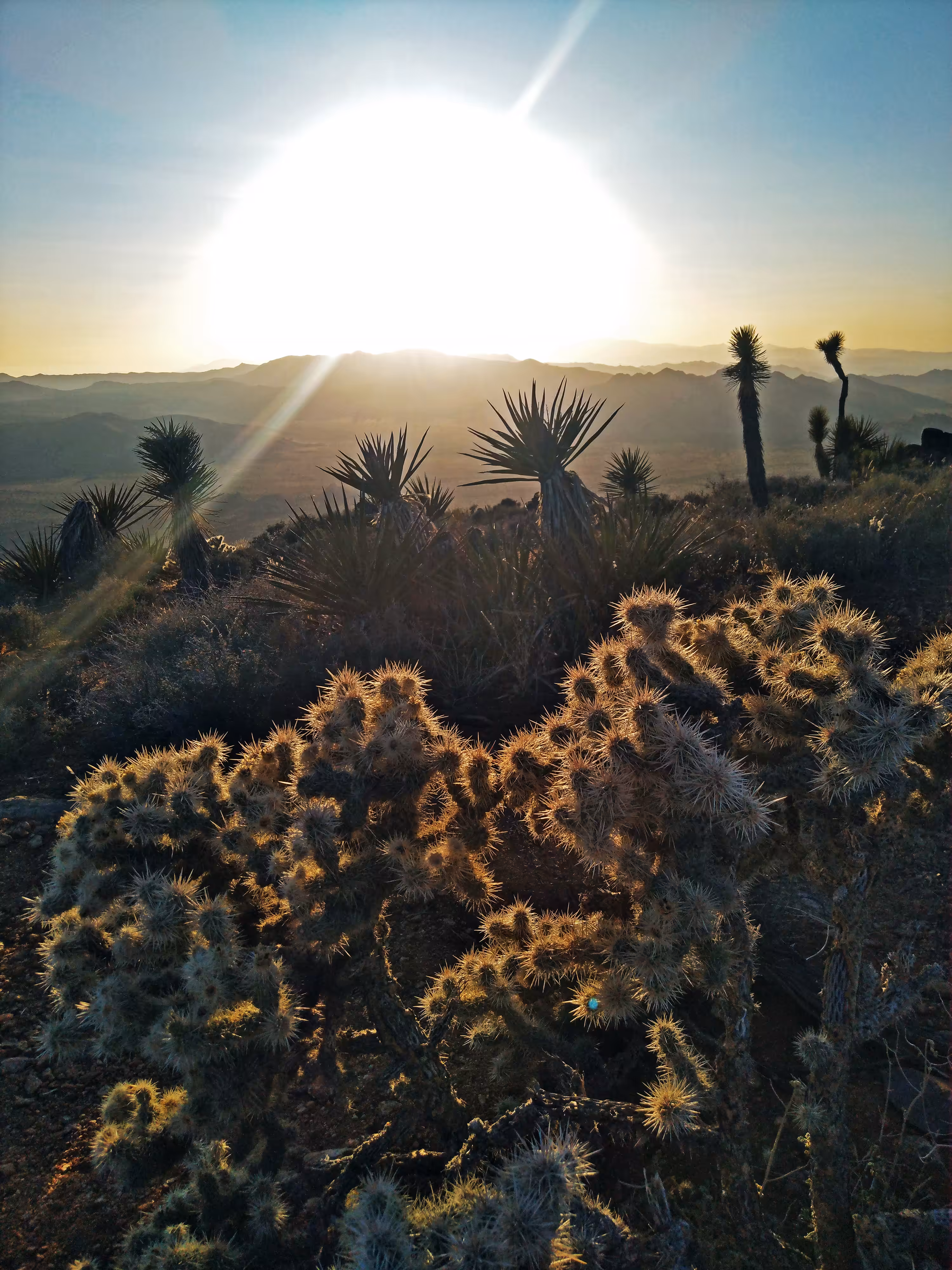 Guardians of Time. Sunset Over the Desert