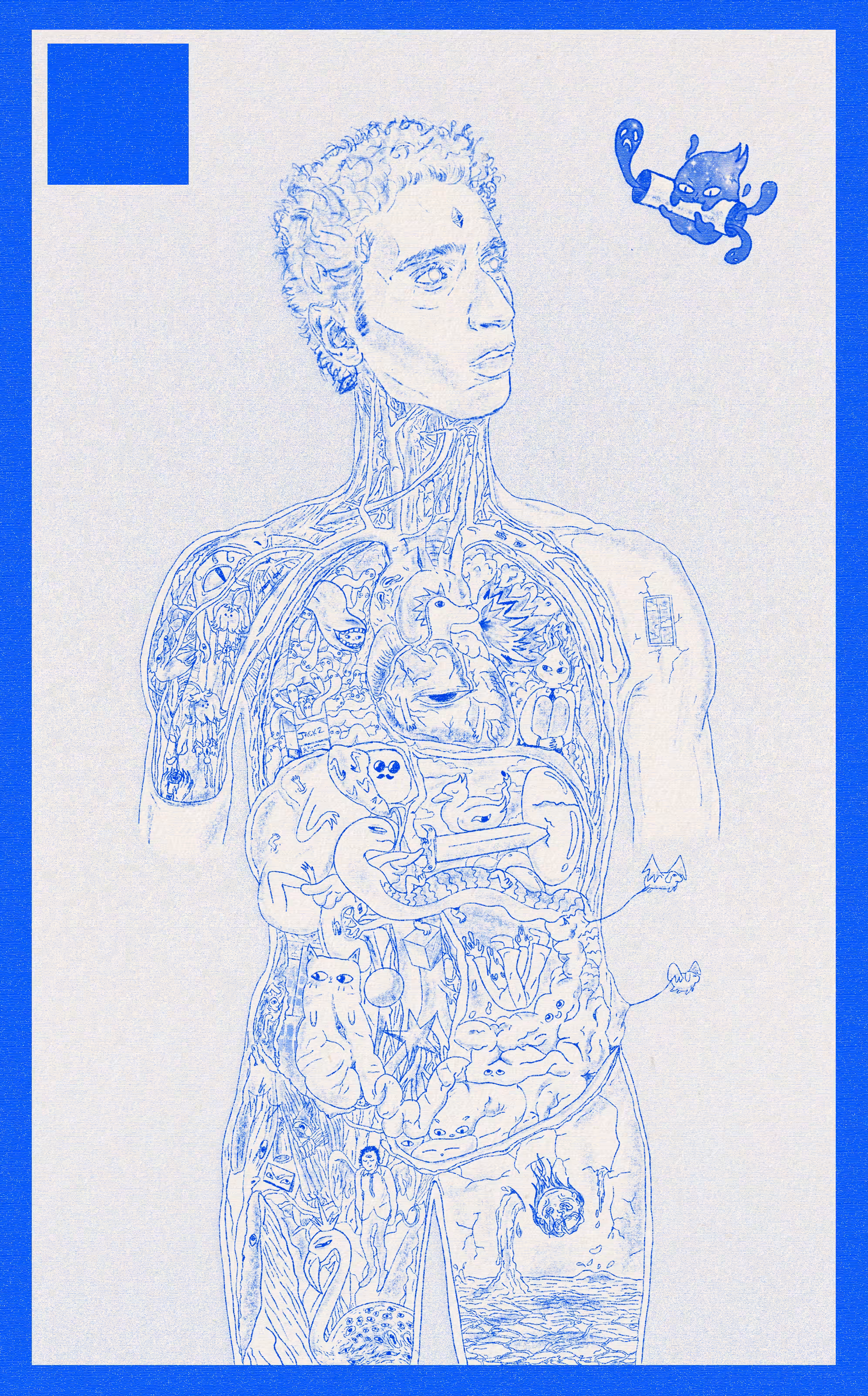 AnatomŸ