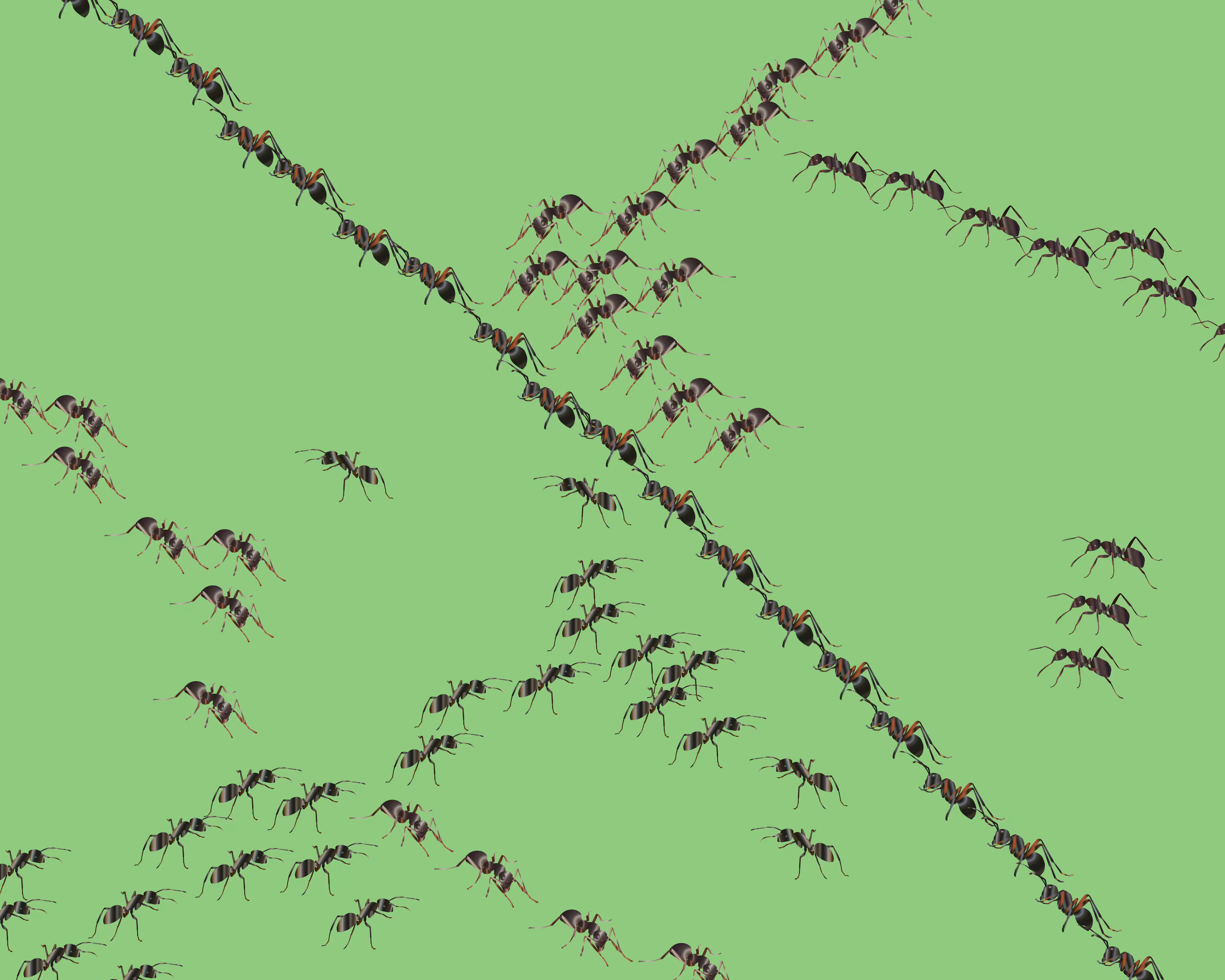 Traffic