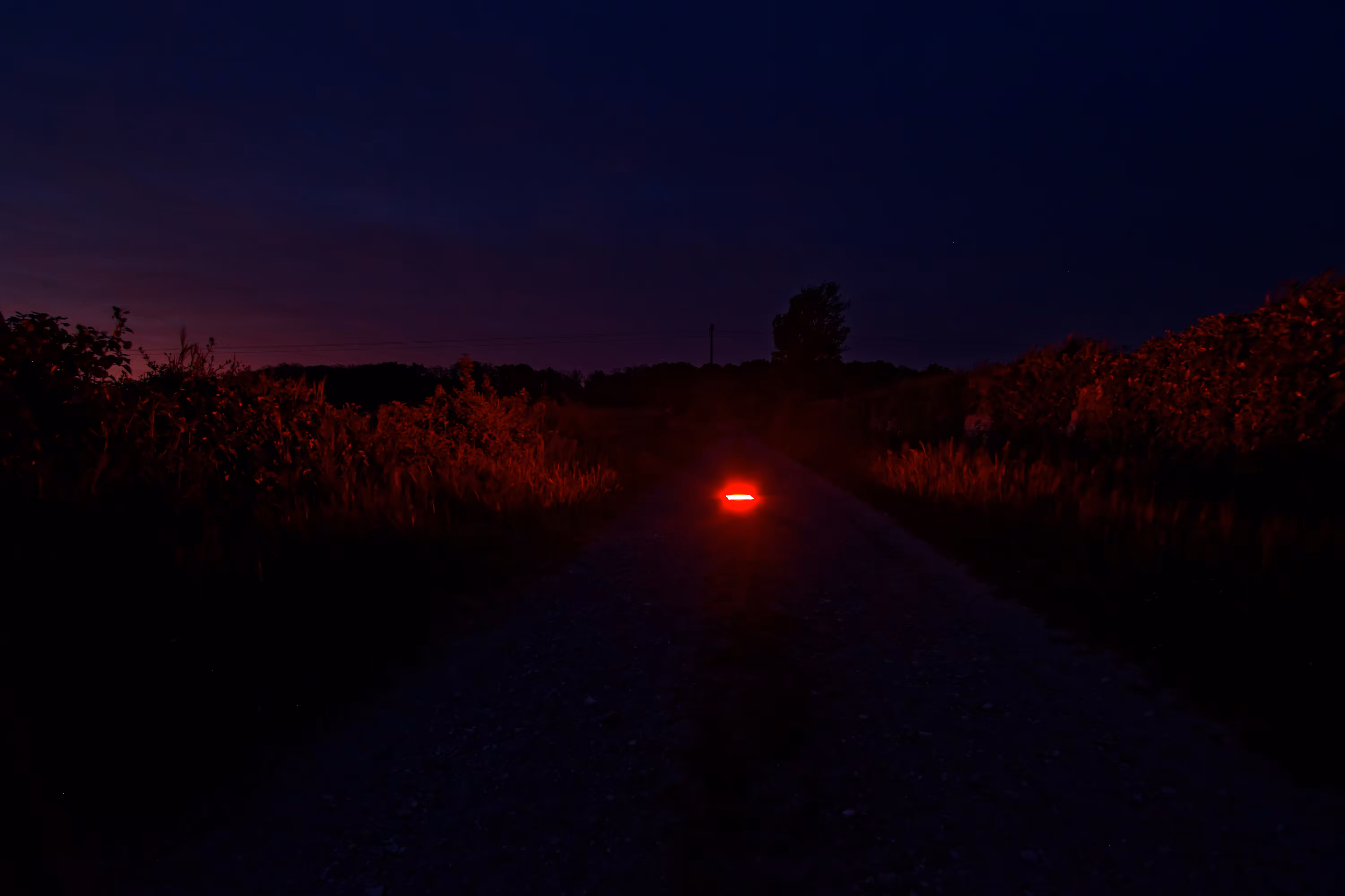 Red Box in the Middle of the Path