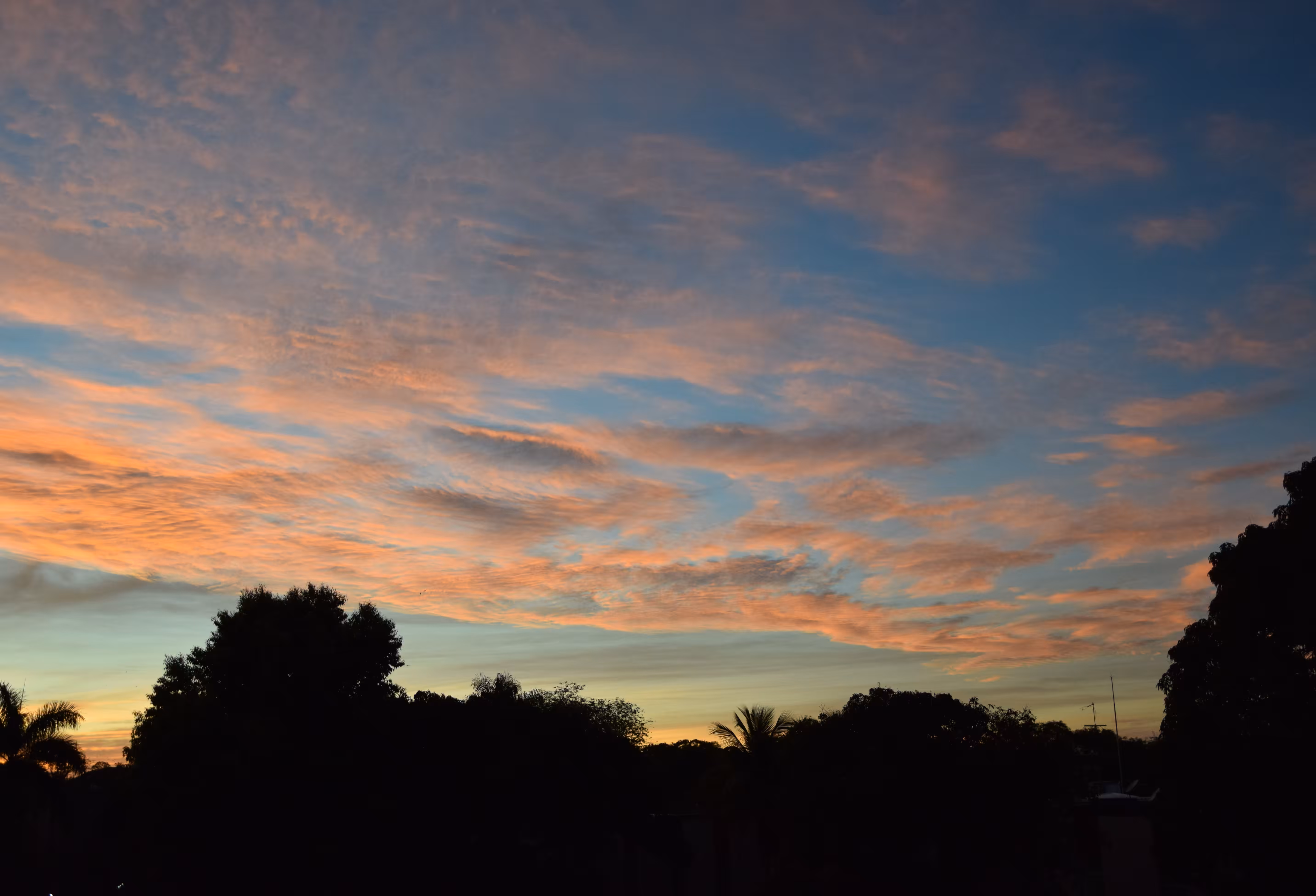 Sun rise