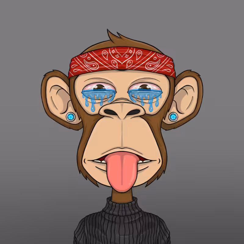 chimpantez #347