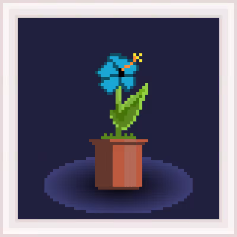 Nothing But Flowers #211