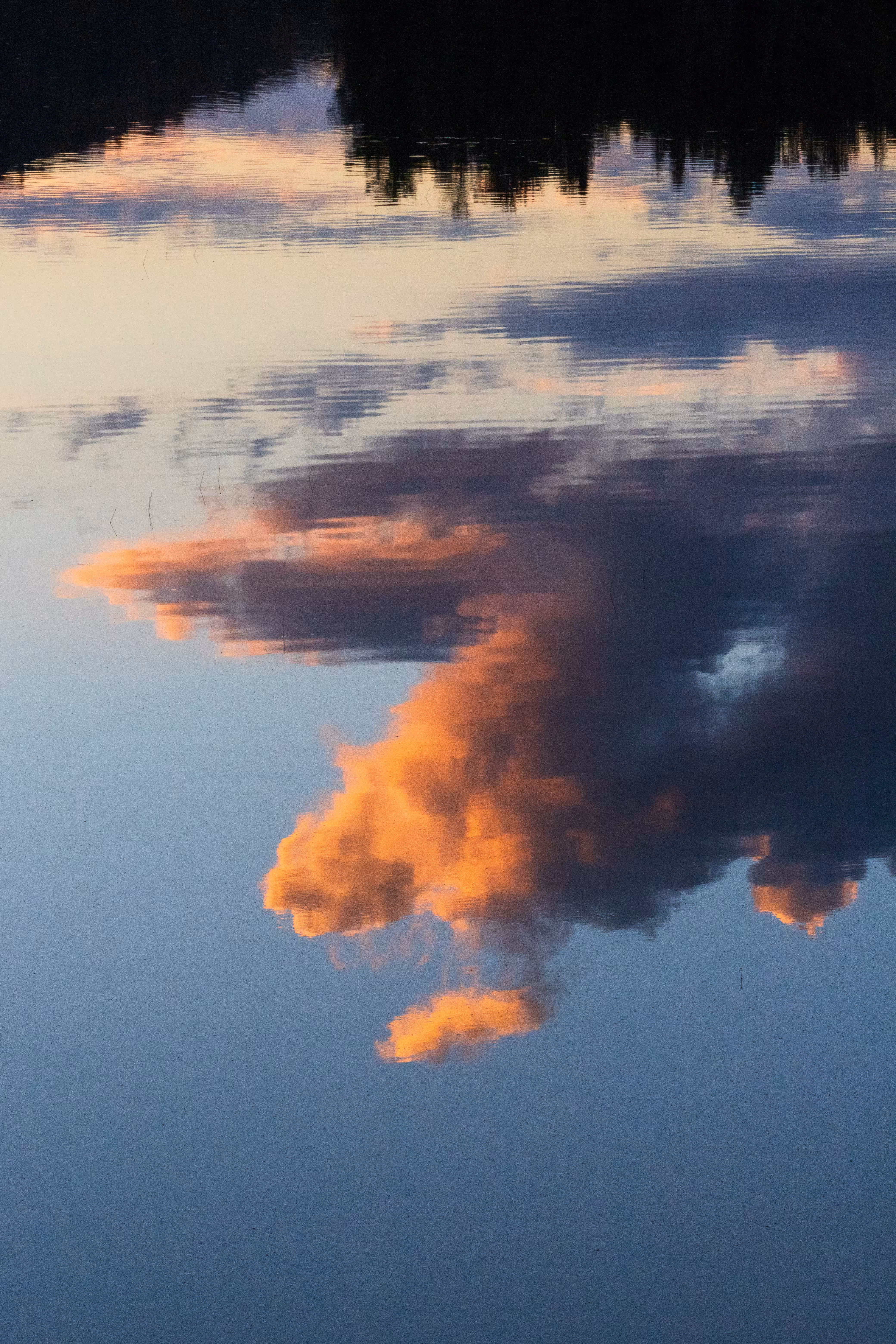 Upside Down #5