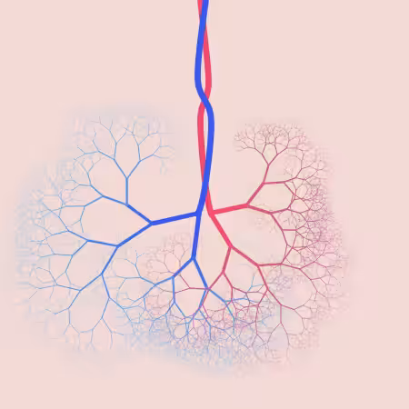 capillary trees #22