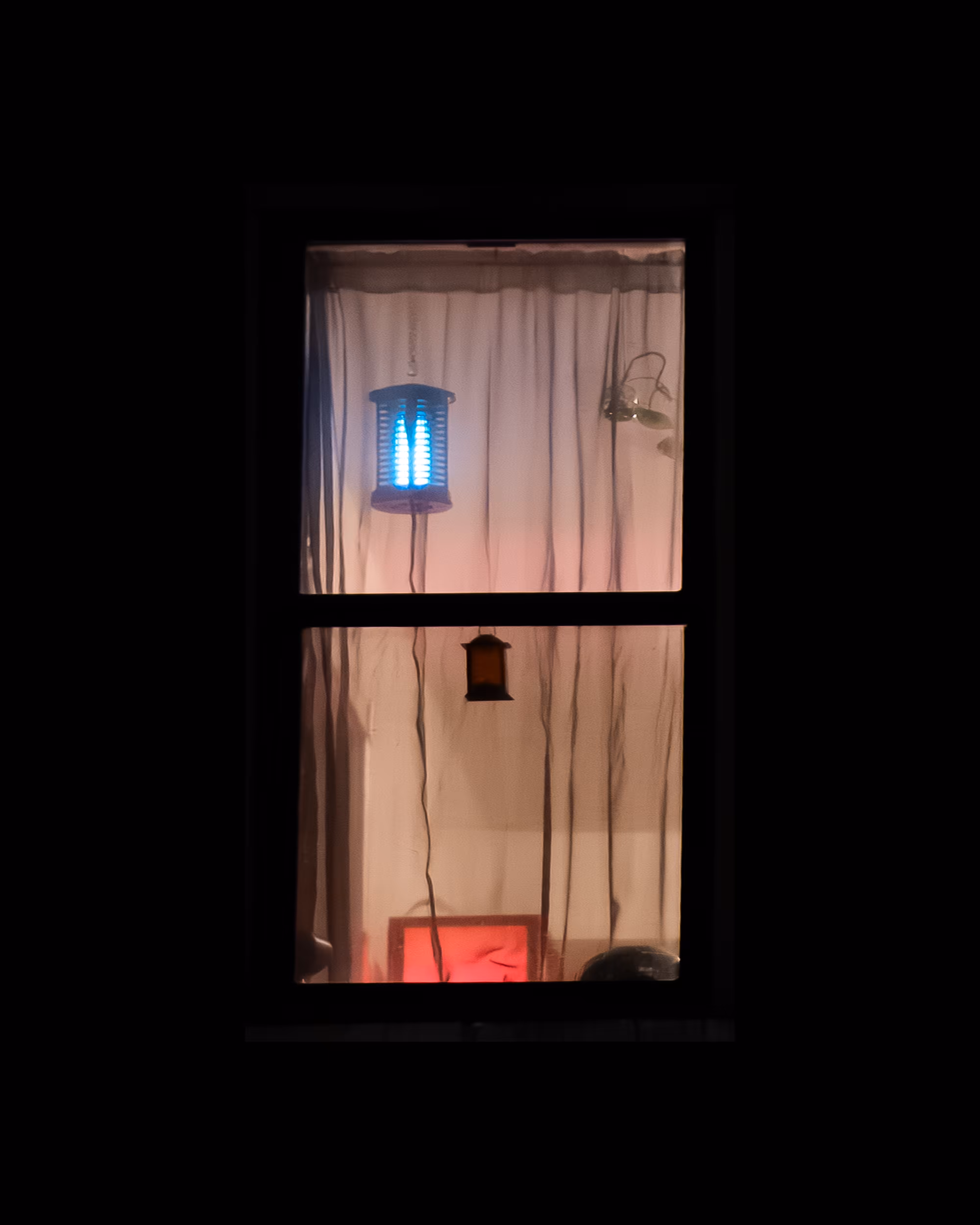WINDOW 533