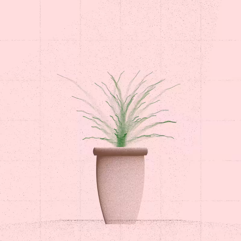 🌱 Potted & Printed #585