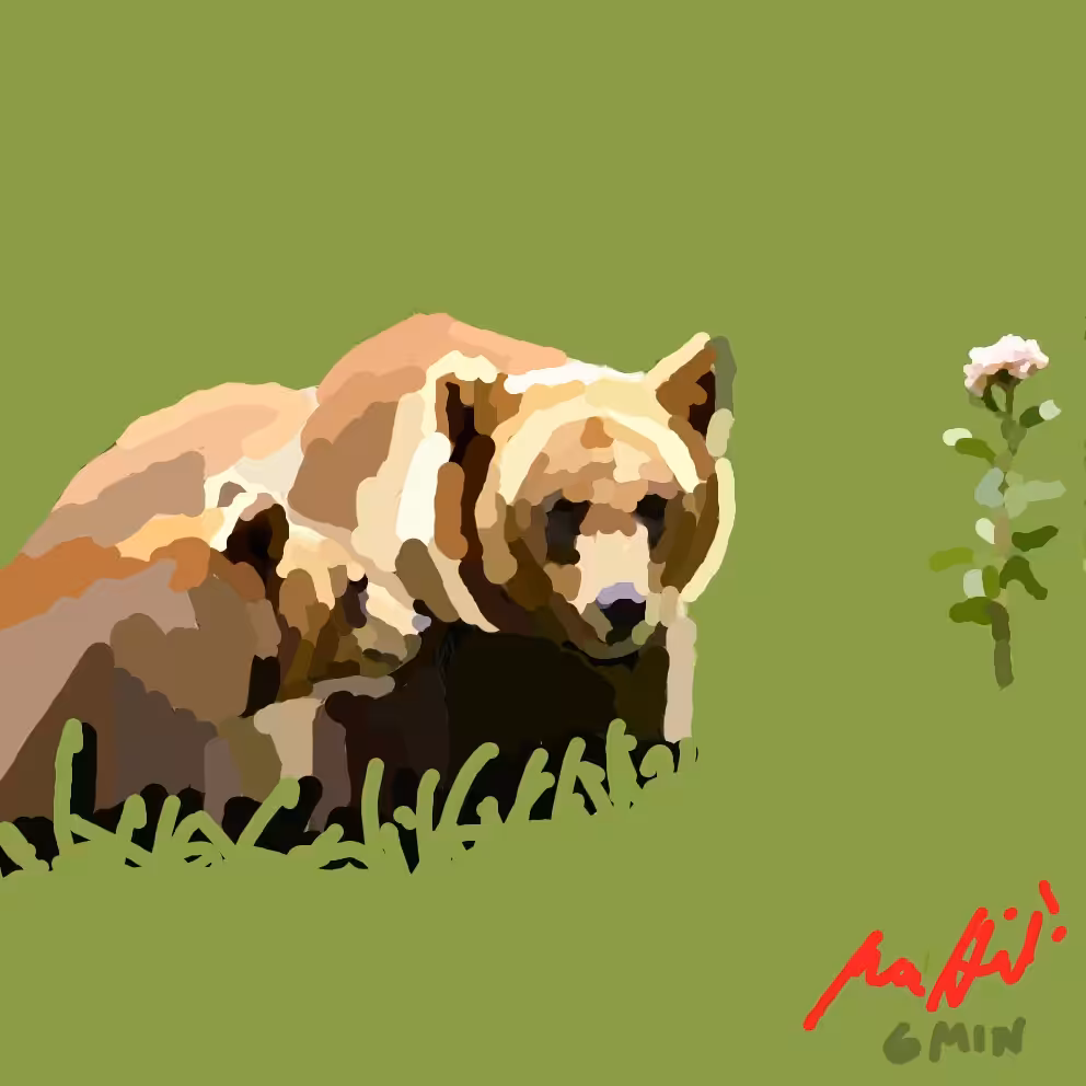 Grizzly Bears, Teaching the Tule of Thumb