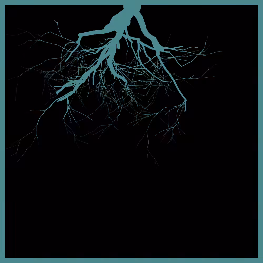Arbres suspendus #199