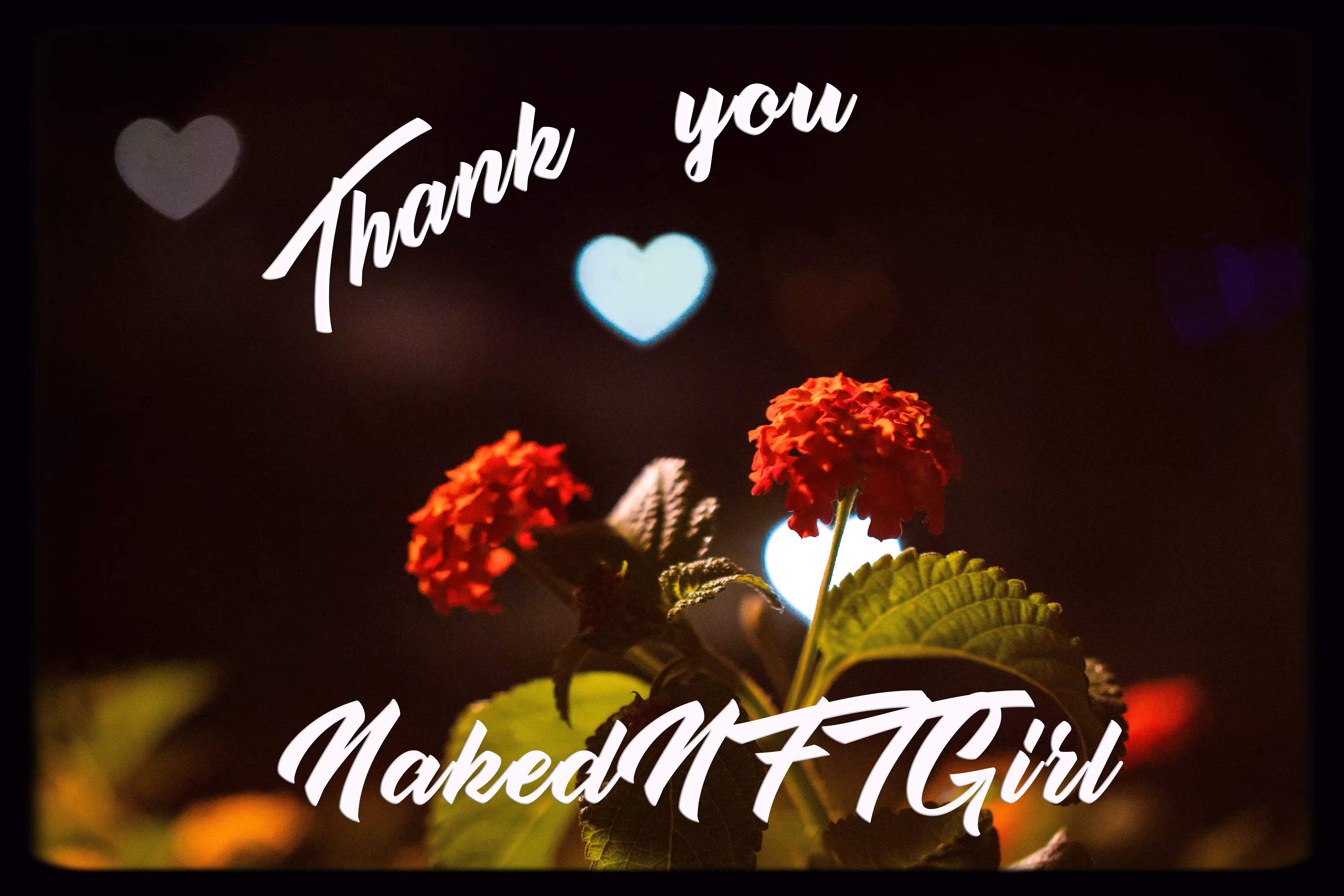 Thank You NakedNFTGirl