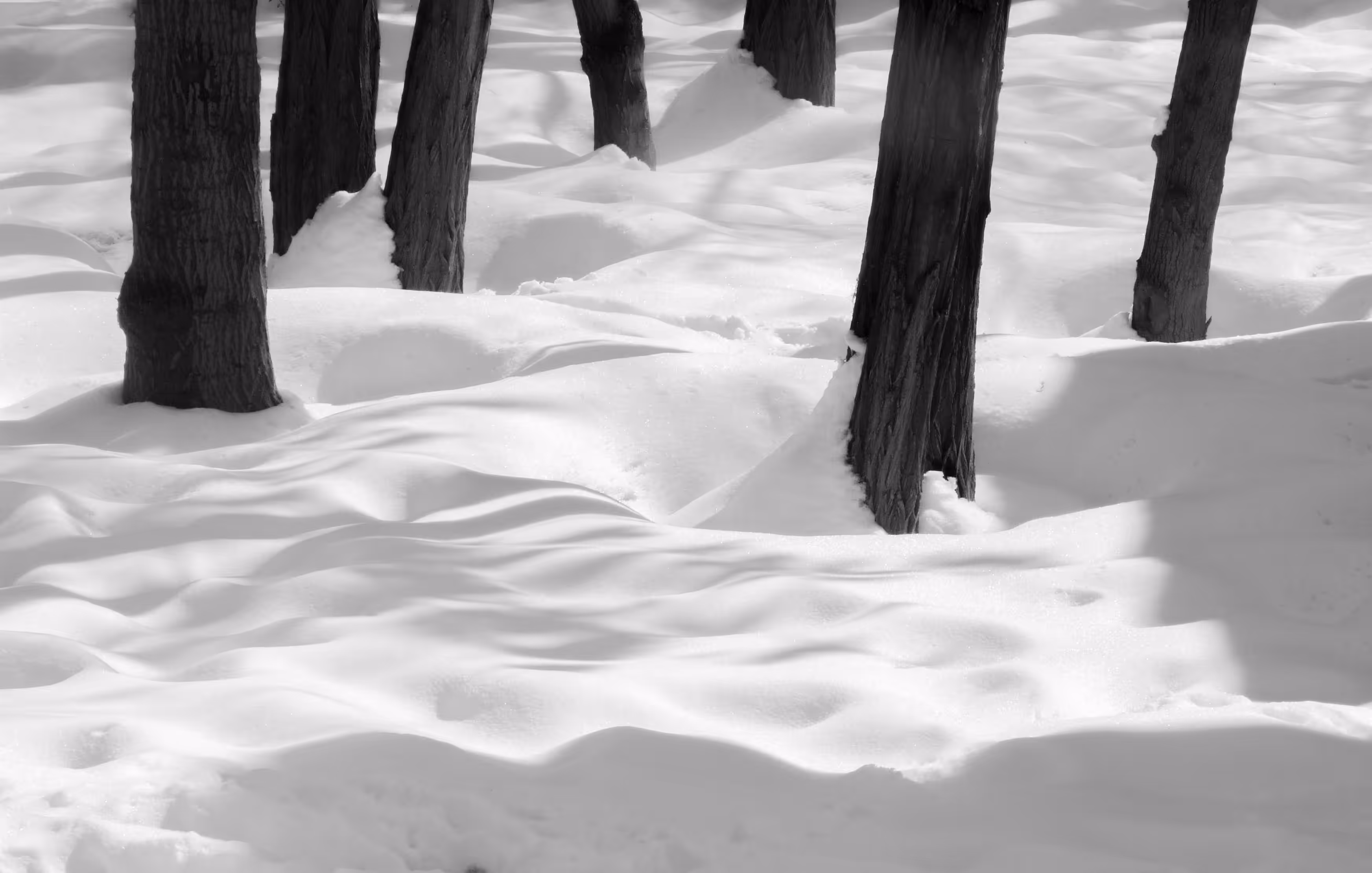 Feet in the snow