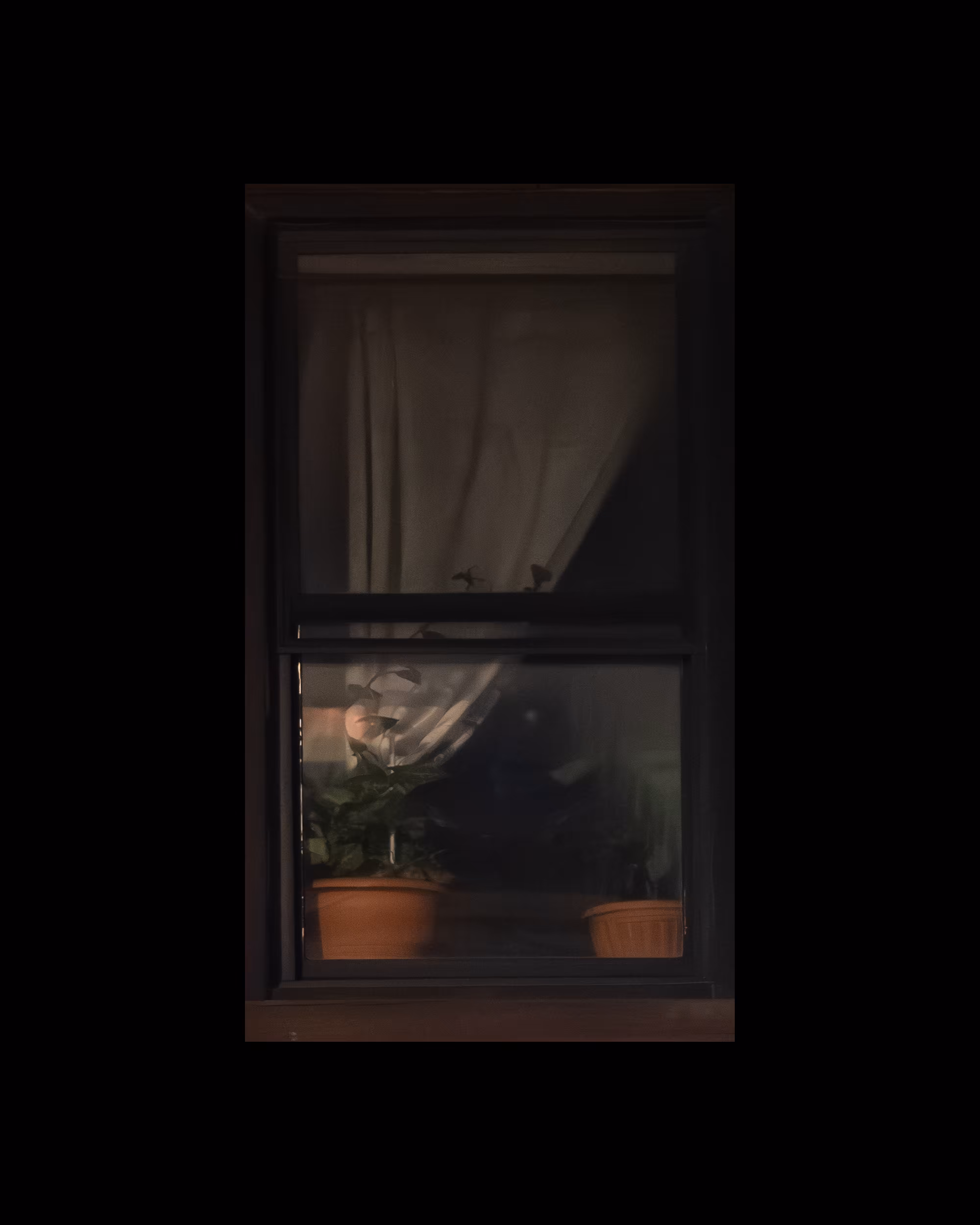 WINDOW 508