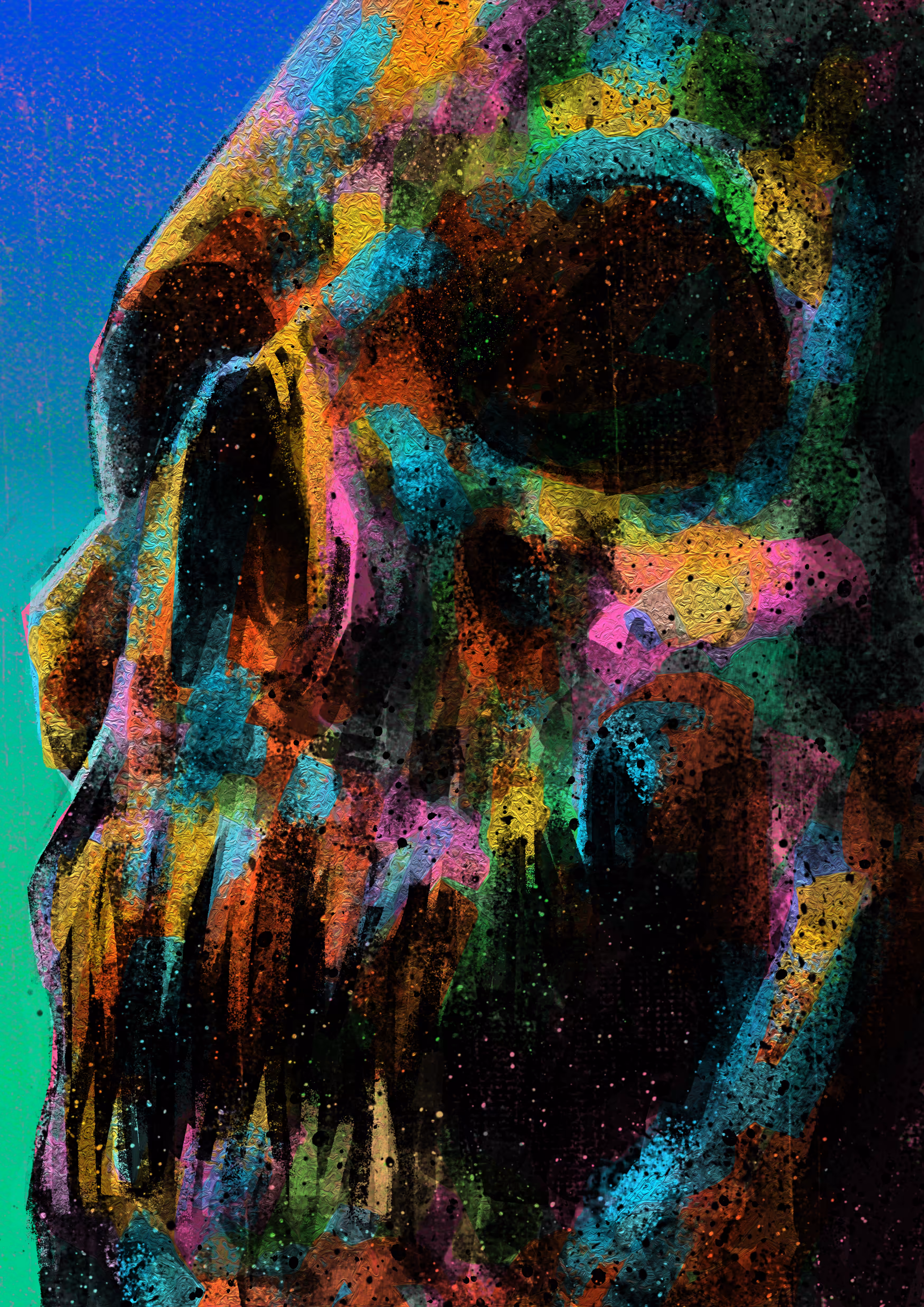 Human Skull