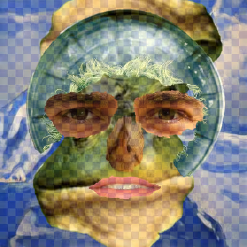 A collage of collages #838