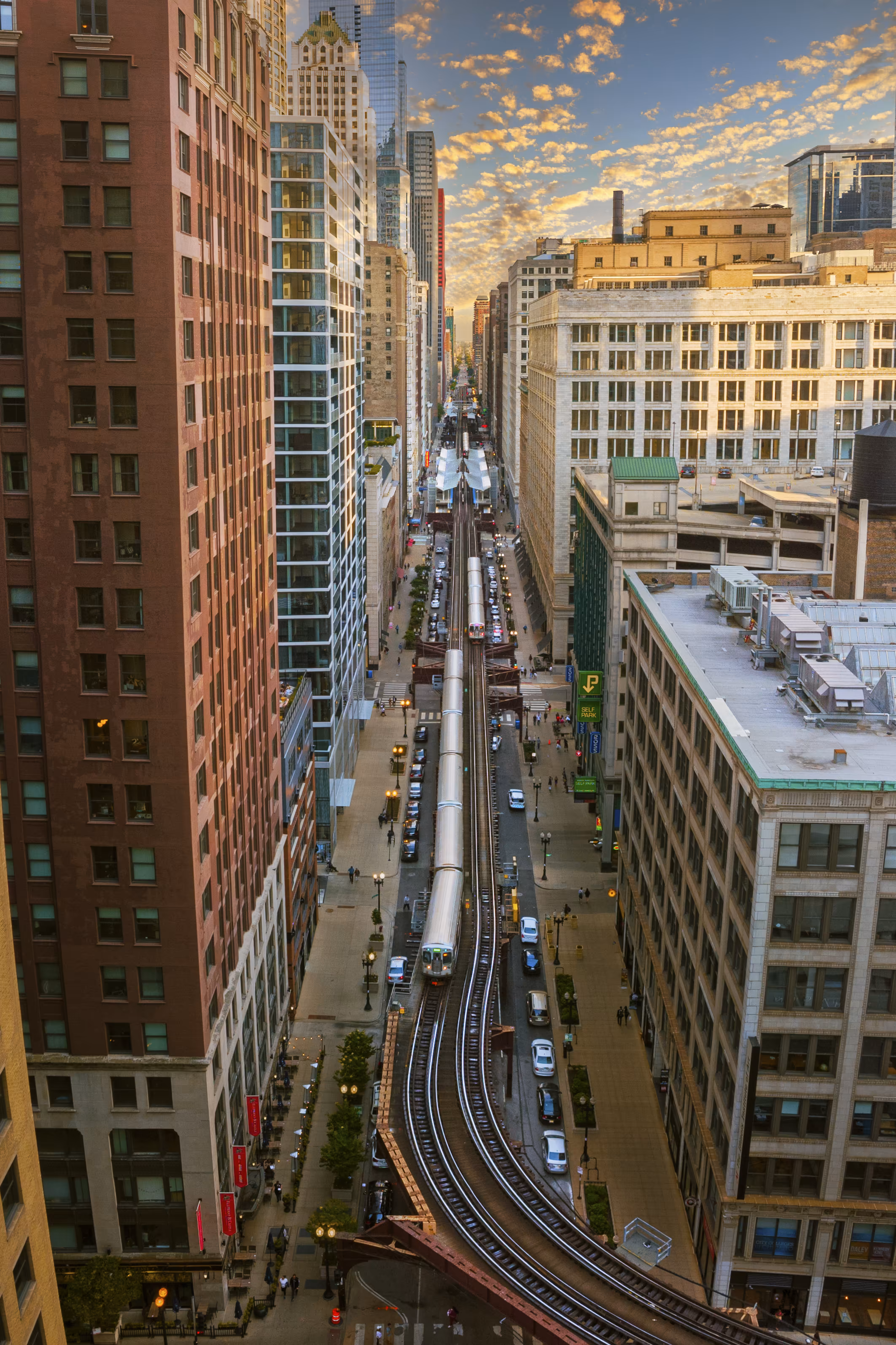 Chicago Dreamline IV