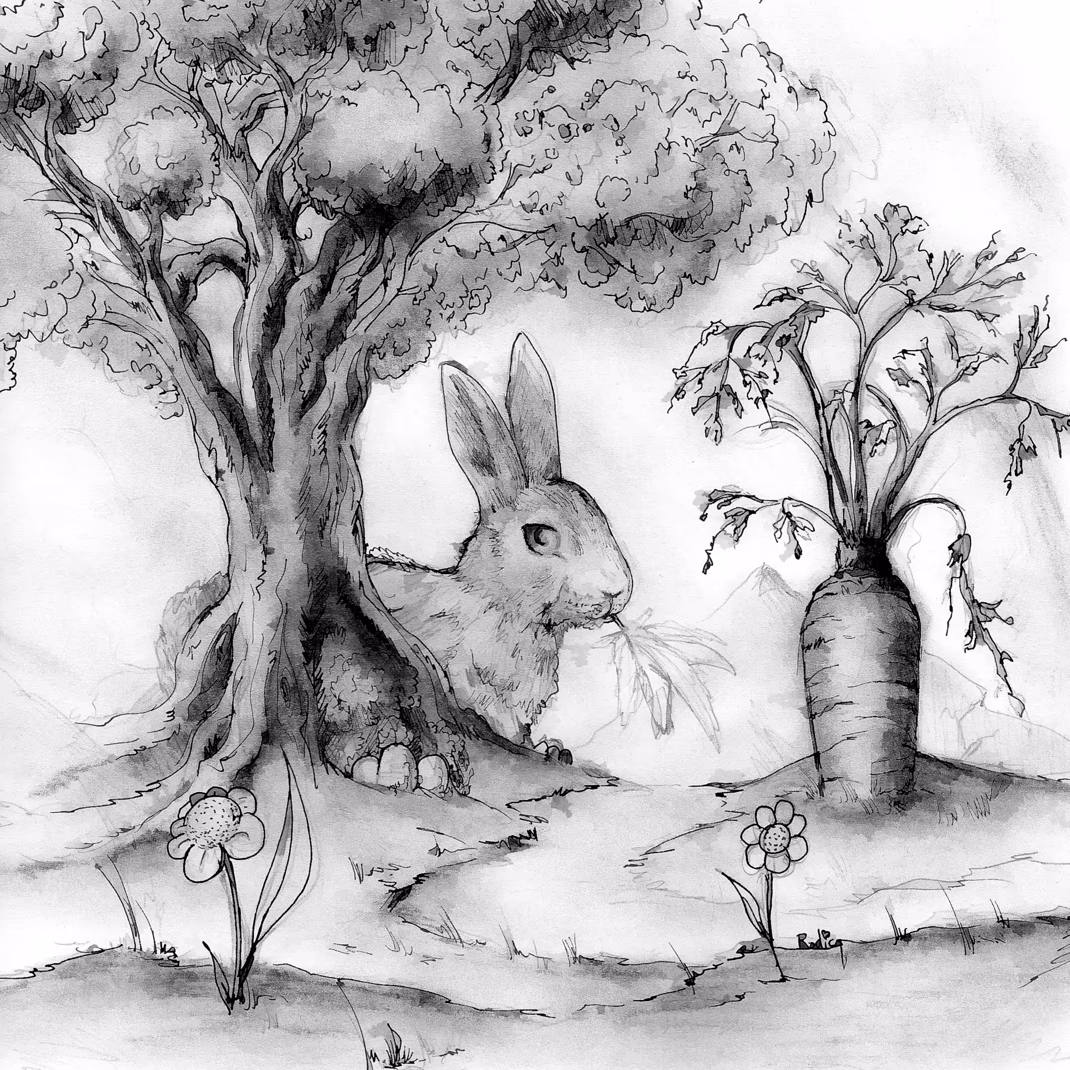 A Rabbit‘s Special Sunday