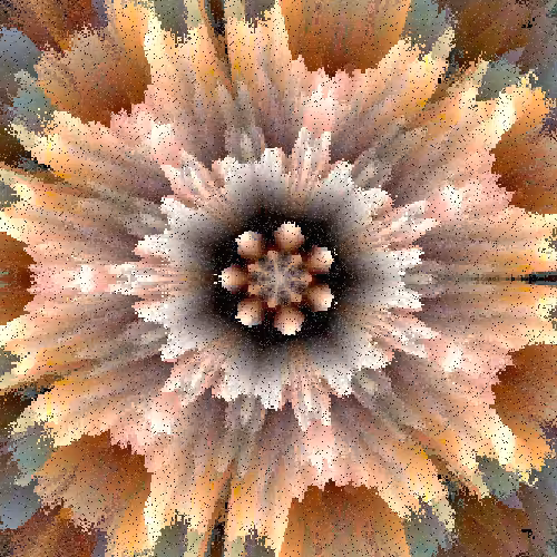 DAHLIA #12