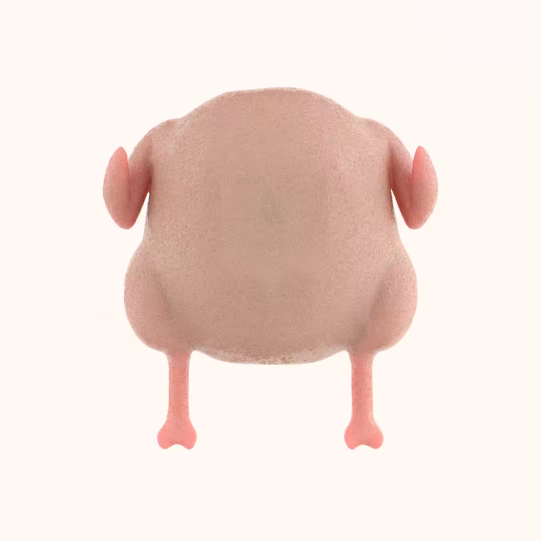 Bloated