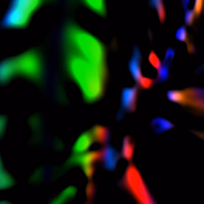 Quantum #19