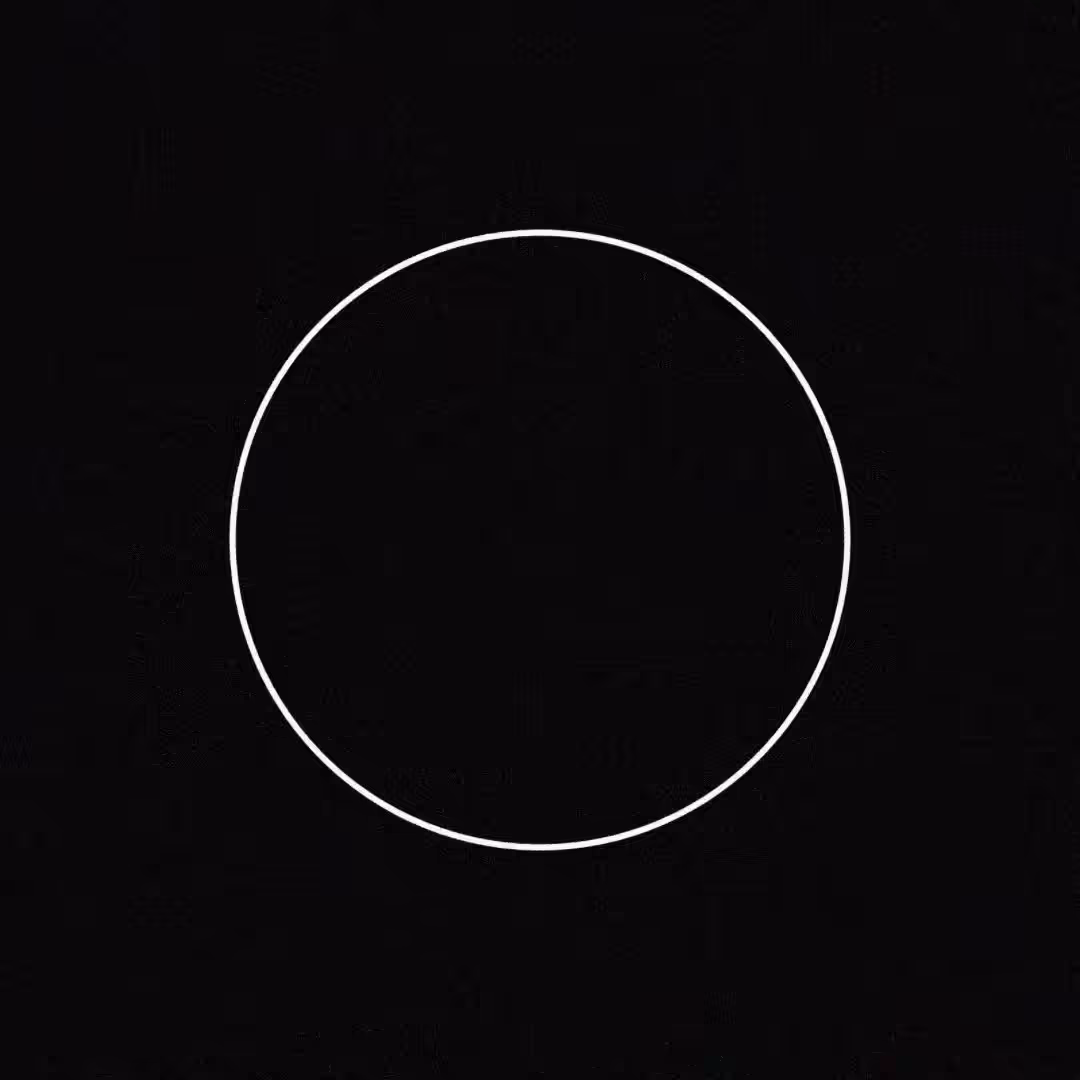 solo  [ ii ]