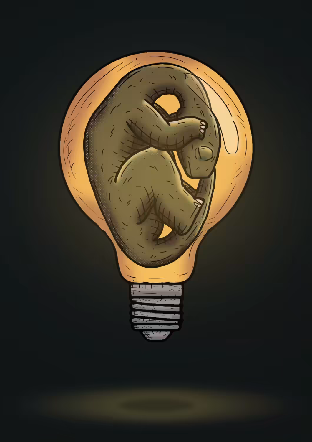 FOCUSSAUR #13