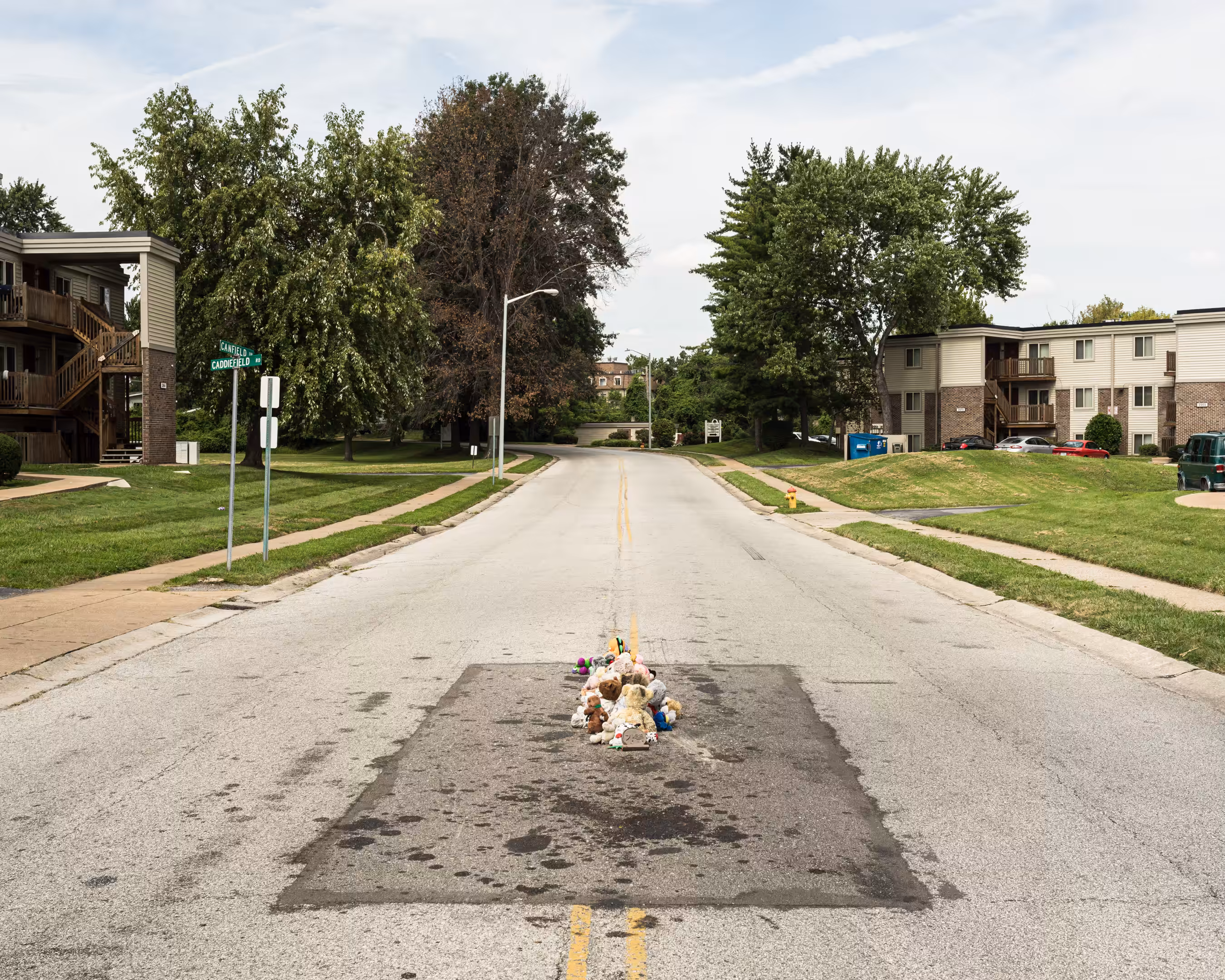 ​The Murder of Michael Brown, Ferguson, Missouri