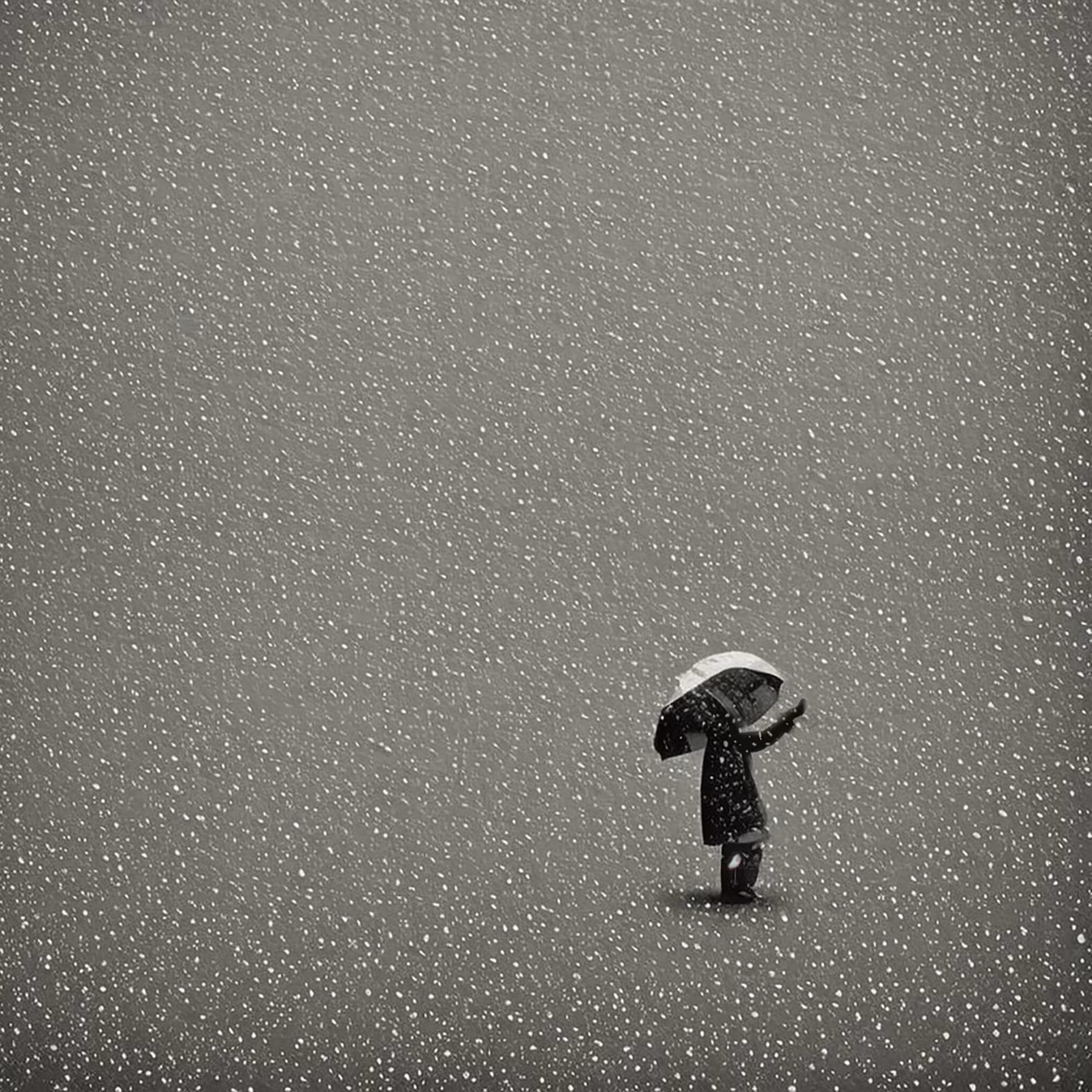 Snowy Memories