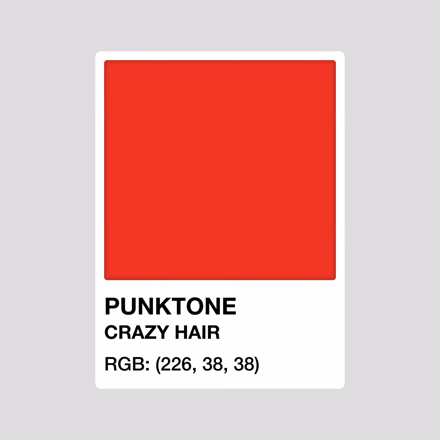 PUNKTONE CRAZY HAIR